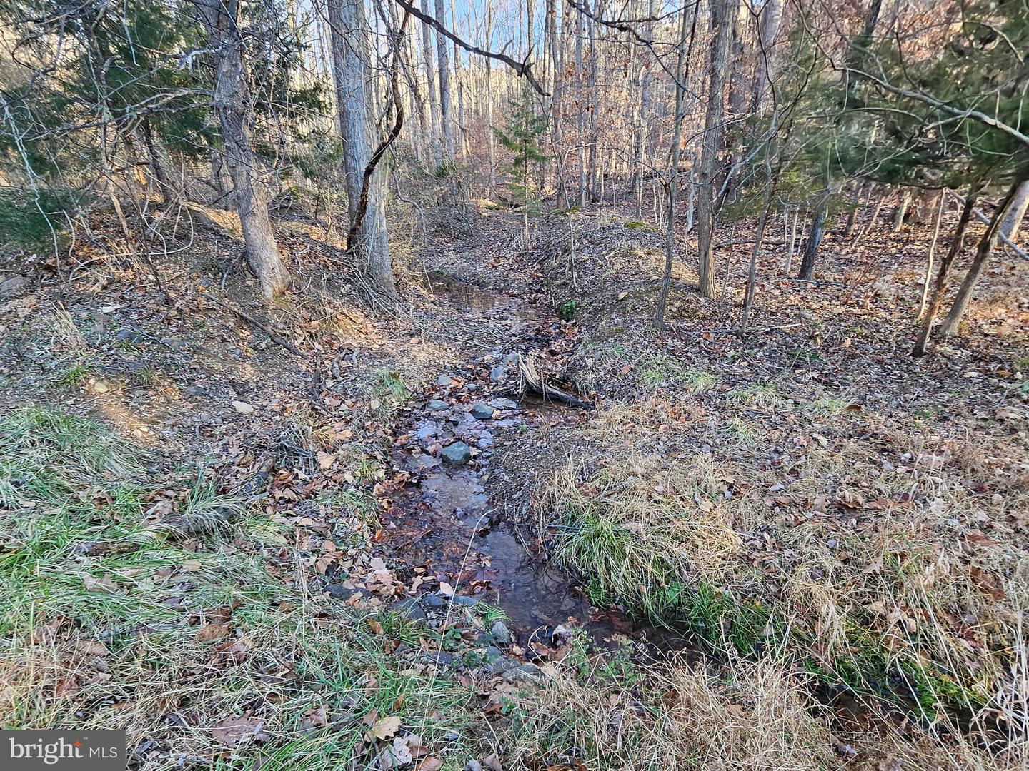 1152 BLUE MOUNTAIN RD, FRONT ROYAL, Virginia 22630, 4 Bedrooms Bedrooms, ,3 BathroomsBathrooms,Residential,For sale,1152 BLUE MOUNTAIN RD,VAWR2012890 MLS # VAWR2012890 1152 BLUE MOUNTAIN RD, FRONT ROYAL, Virginia 22630, 4 Bedrooms Bedrooms, ,3 BathroomsBathrooms,Residential,For sale,1152 BLUE MOUNTAIN RD,VAWR2012890 MLS # VAWR2012890