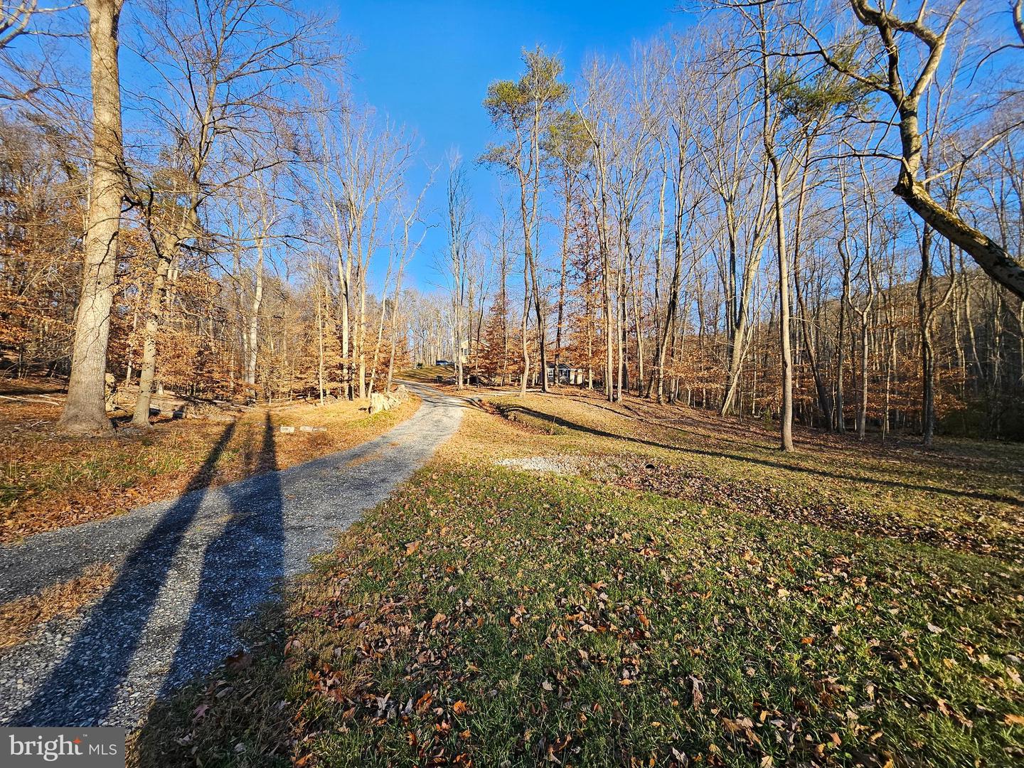 1152 BLUE MOUNTAIN RD, FRONT ROYAL, Virginia 22630, 4 Bedrooms Bedrooms, ,3 BathroomsBathrooms,Residential,For sale,1152 BLUE MOUNTAIN RD,VAWR2012890 MLS # VAWR2012890 1152 BLUE MOUNTAIN RD, FRONT ROYAL, Virginia 22630, 4 Bedrooms Bedrooms, ,3 BathroomsBathrooms,Residential,For sale,1152 BLUE MOUNTAIN RD,VAWR2012890 MLS # VAWR2012890