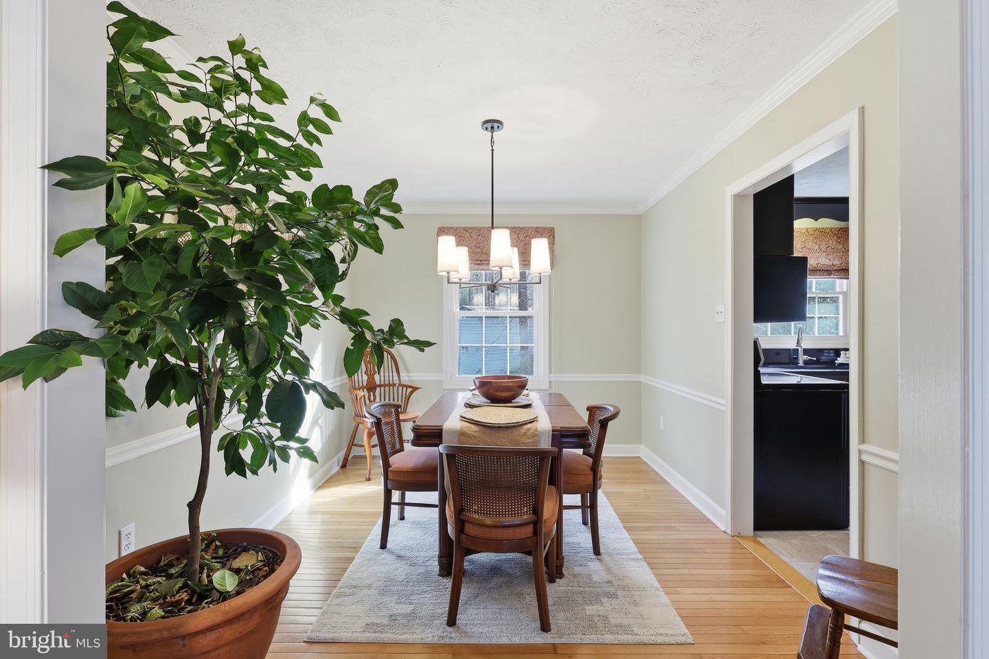 12533 BASSWOOD DR, MANASSAS, Virginia 20112, 3 Bedrooms Bedrooms, ,2 BathroomsBathrooms,Residential,For sale,12533 BASSWOOD DR,VAPW2108844 MLS # VAPW2108844 12533 BASSWOOD DR, MANASSAS, Virginia 20112, 3 Bedrooms Bedrooms, ,2 BathroomsBathrooms,Residential,For sale,12533 BASSWOOD DR,VAPW2108844 MLS # VAPW2108844