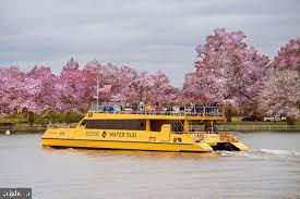 408 N PITT ST, ALEXANDRIA, Virginia 22314, 3 Bedrooms Bedrooms, ,3 BathroomsBathrooms,Residential,For sale,408 N PITT ST,VAAX2052324 MLS # VAAX2052324 408 N PITT ST, ALEXANDRIA, Virginia 22314, 3 Bedrooms Bedrooms, ,3 BathroomsBathrooms,Residential,For sale,408 N PITT ST,VAAX2052324 MLS # VAAX2052324