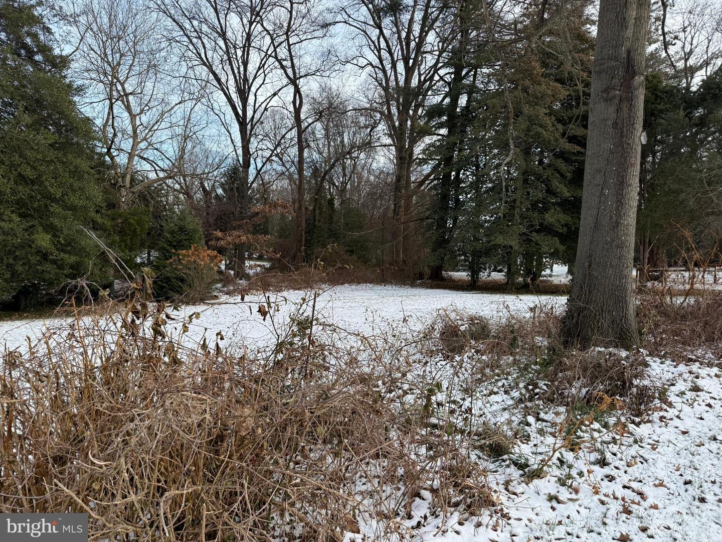 2807 CEDAR LN, VIENNA, Virginia 22180, 3 Bedrooms Bedrooms, ,1 BathroomBathrooms,Residential,For sale,2807 CEDAR LN,VAFX2282702 MLS # VAFX2282702 2807 CEDAR LN, VIENNA, Virginia 22180, 3 Bedrooms Bedrooms, ,1 BathroomBathrooms,Residential,For sale,2807 CEDAR LN,VAFX2282702 MLS # VAFX2282702