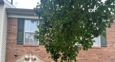 2610 GRAYTON LN, WOODBRIDGE, Virginia 22191, 4 Bedrooms Bedrooms, ,3 BathroomsBathrooms,Residential,For sale,2610 GRAYTON LN,VAPW2099330 MLS # VAPW2099330