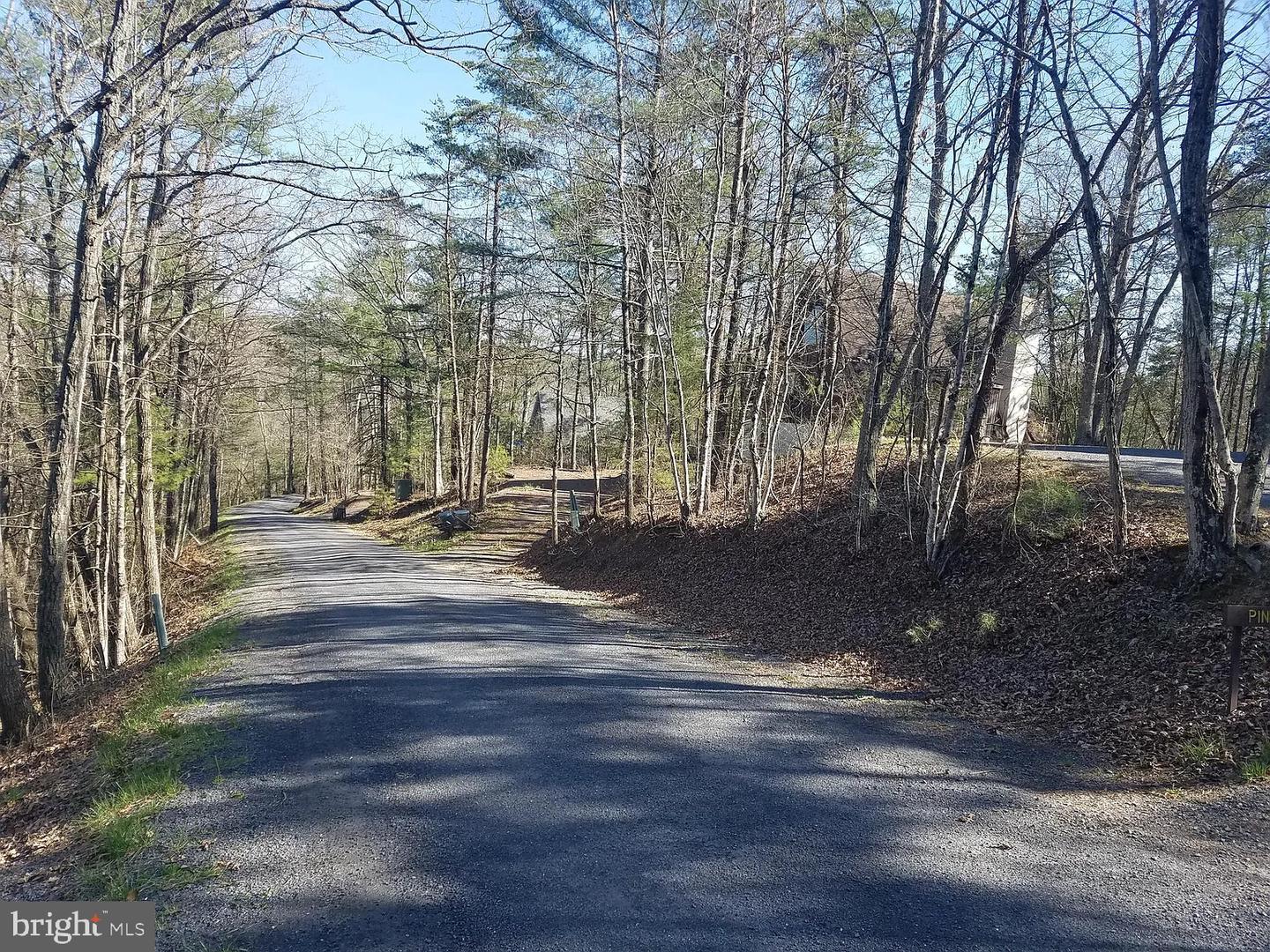 00 LEE RD, BASYE, Virginia 22810, ,Land,For sale,00 LEE RD,VASH2013214 MLS # VASH2013214