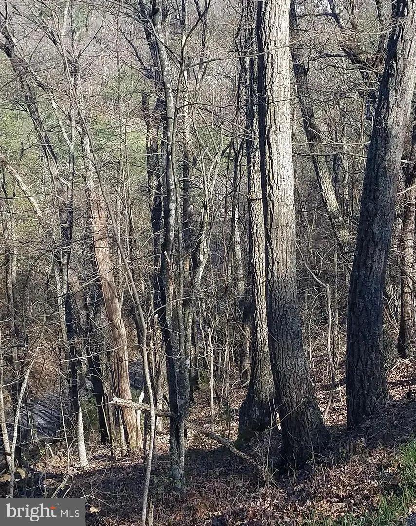 00 LEE RD, BASYE, Virginia 22810, ,Land,For sale,00 LEE RD,VASH2013214 MLS # VASH2013214