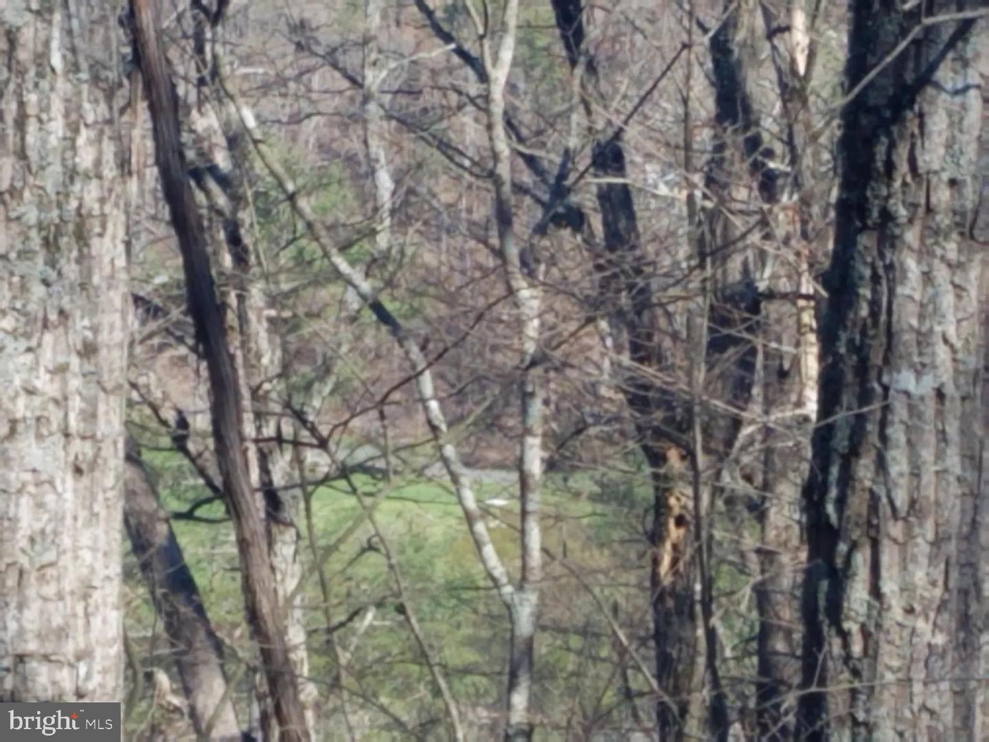 00 LEE RD, BASYE, Virginia 22810, ,Land,For sale,00 LEE RD,VASH2013214 MLS # VASH2013214