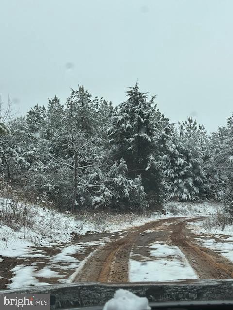 MT ALTO RD, ESMONT, Virginia 22937, ,Land,For sale,MT ALTO RD,VAAB2001132 MLS # VAAB2001132 MT ALTO RD, ESMONT, Virginia 22937, ,Land,For sale,MT ALTO RD,VAAB2001132 MLS # VAAB2001132