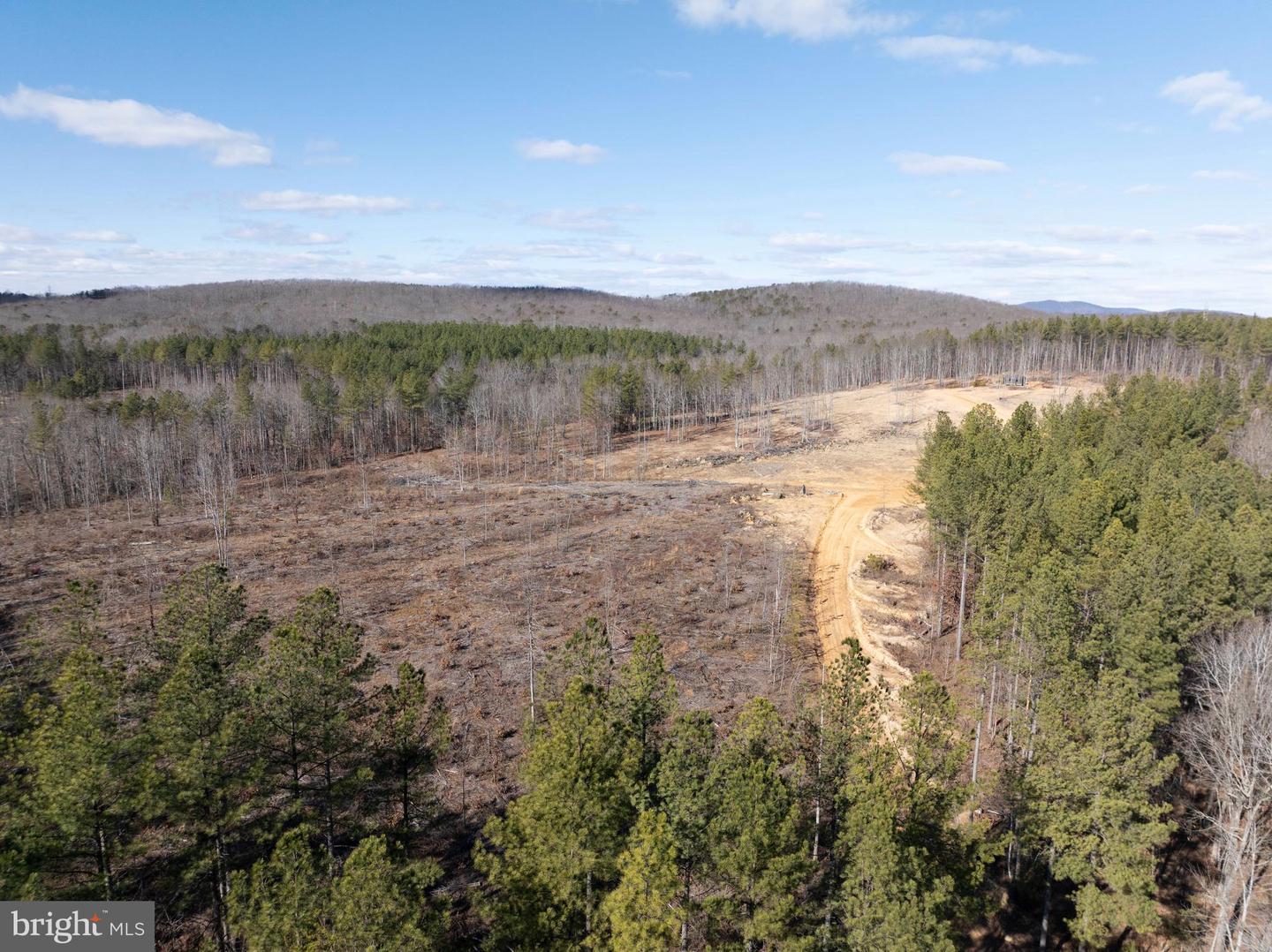 MT ALTO RD, ESMONT, Virginia 22937, ,Land,For sale,MT ALTO RD,VAAB2001132 MLS # VAAB2001132