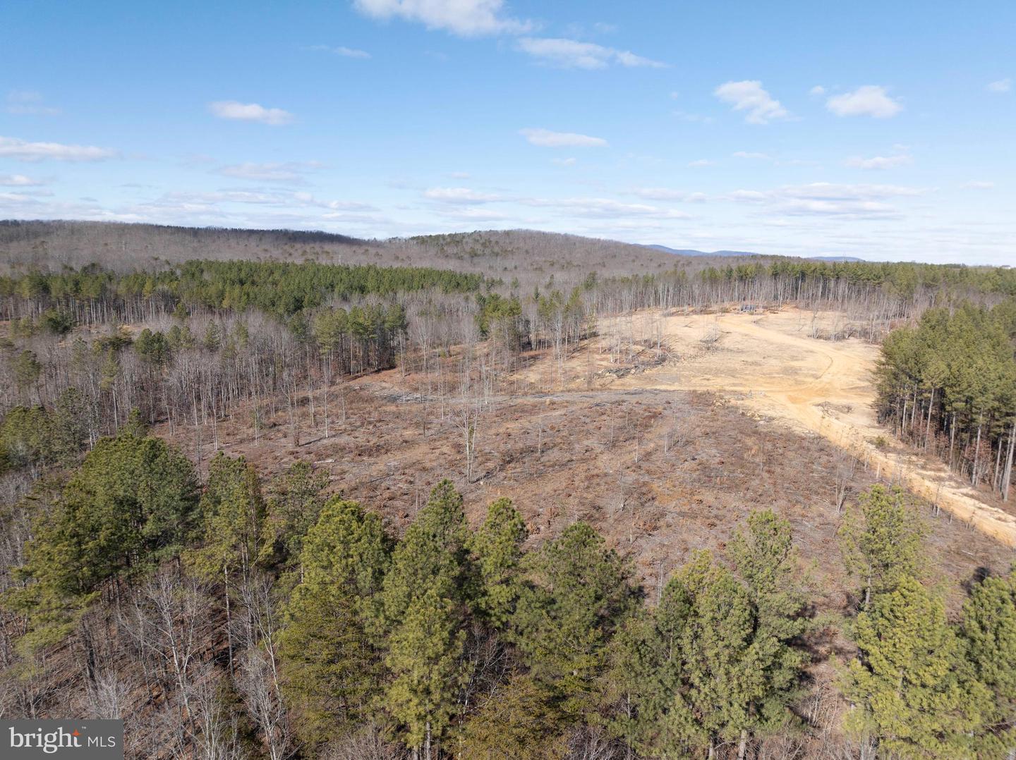 MT ALTO RD, ESMONT, Virginia 22937, ,Land,For sale,MT ALTO RD,VAAB2001132 MLS # VAAB2001132