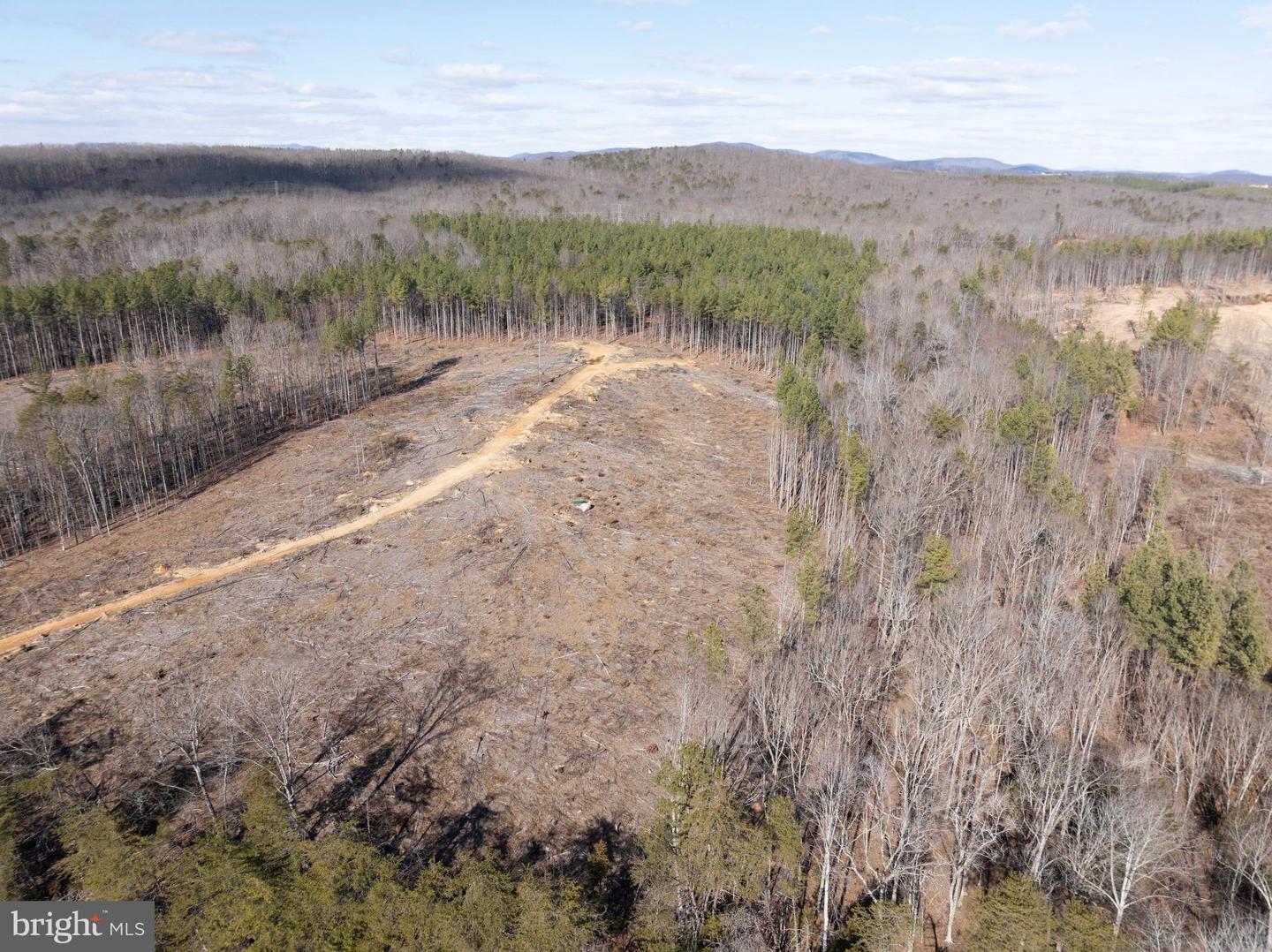 MT ALTO RD, ESMONT, Virginia 22937, ,Land,For sale,MT ALTO RD,VAAB2001132 MLS # VAAB2001132