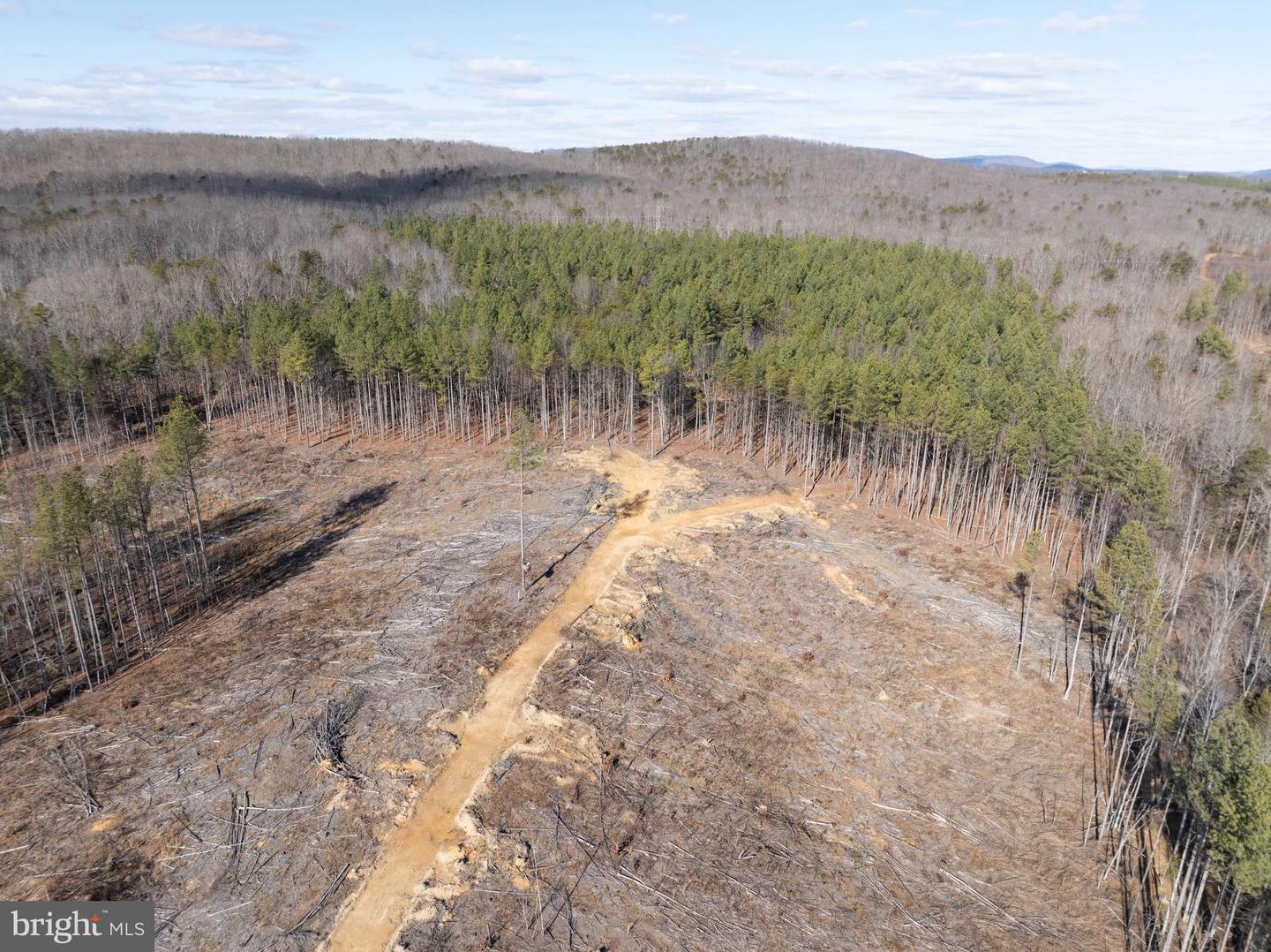 MT ALTO RD, ESMONT, Virginia 22937, ,Land,For sale,MT ALTO RD,VAAB2001132 MLS # VAAB2001132