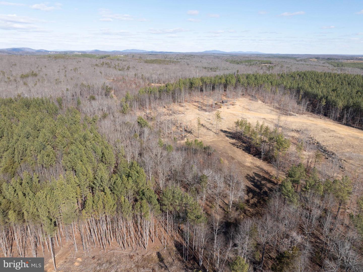 MT ALTO RD, ESMONT, Virginia 22937, ,Land,For sale,MT ALTO RD,VAAB2001132 MLS # VAAB2001132