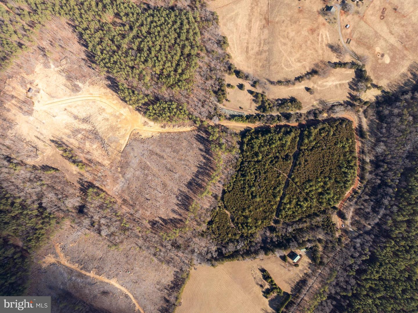 MT ALTO RD, ESMONT, Virginia 22937, ,Land,For sale,MT ALTO RD,VAAB2001132 MLS # VAAB2001132