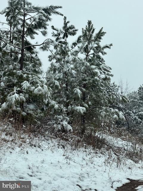 MT ALTO RD, ESMONT, Virginia 22937, ,Land,For sale,MT ALTO RD,VAAB2001132 MLS # VAAB2001132