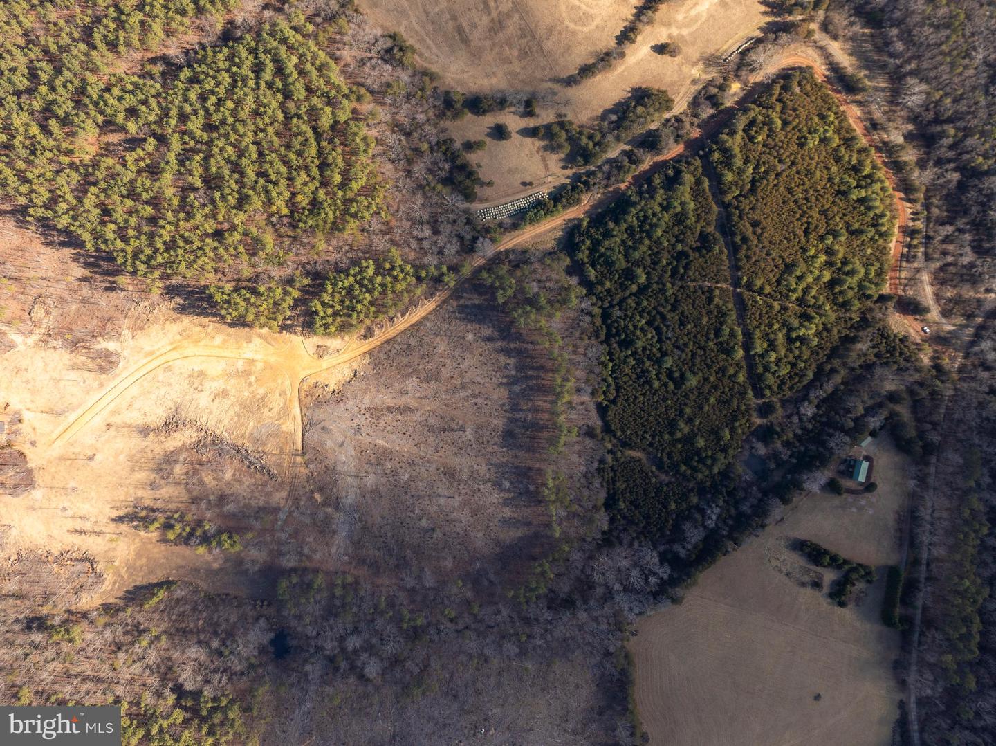 MT ALTO RD, ESMONT, Virginia 22937, ,Land,For sale,MT ALTO RD,VAAB2001132 MLS # VAAB2001132