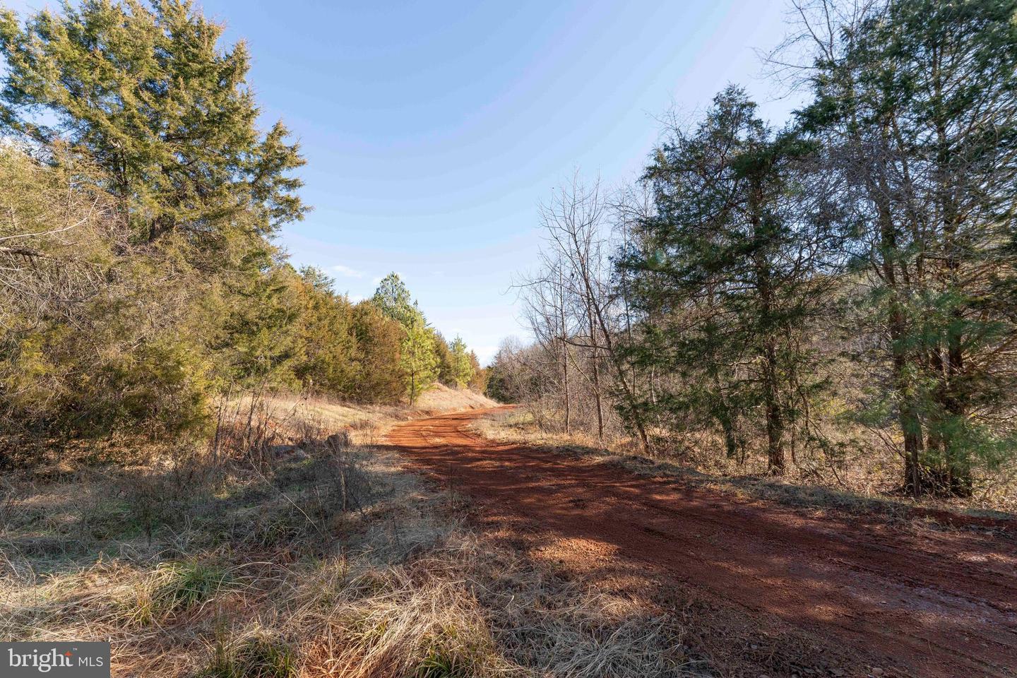 MT ALTO RD, ESMONT, Virginia 22937, ,Land,For sale,MT ALTO RD,VAAB2001132 MLS # VAAB2001132