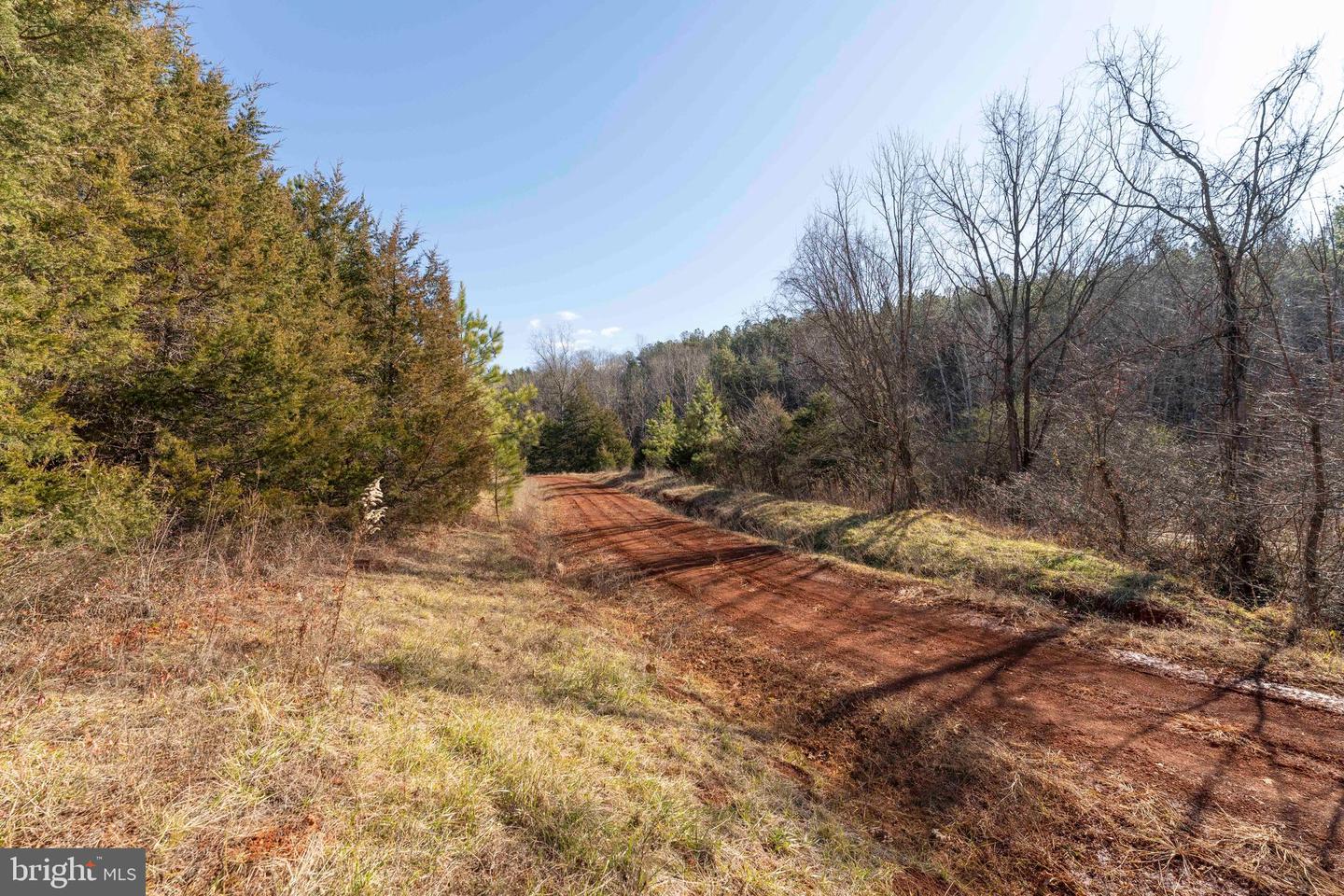 MT ALTO RD, ESMONT, Virginia 22937, ,Land,For sale,MT ALTO RD,VAAB2001132 MLS # VAAB2001132