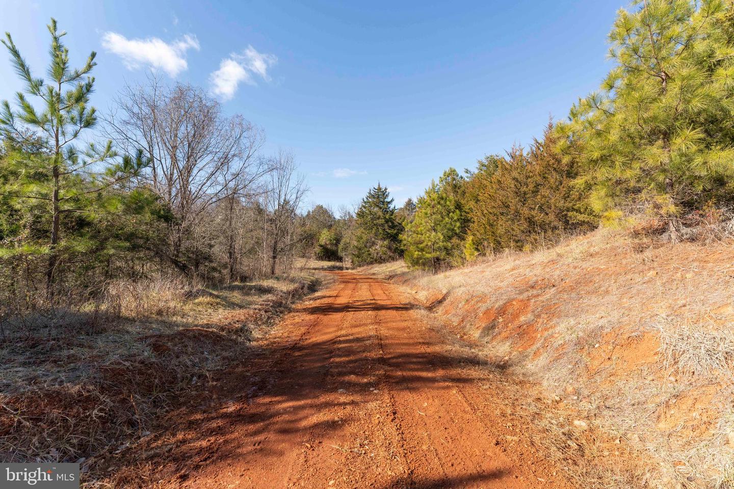 MT ALTO RD, ESMONT, Virginia 22937, ,Land,For sale,MT ALTO RD,VAAB2001132 MLS # VAAB2001132