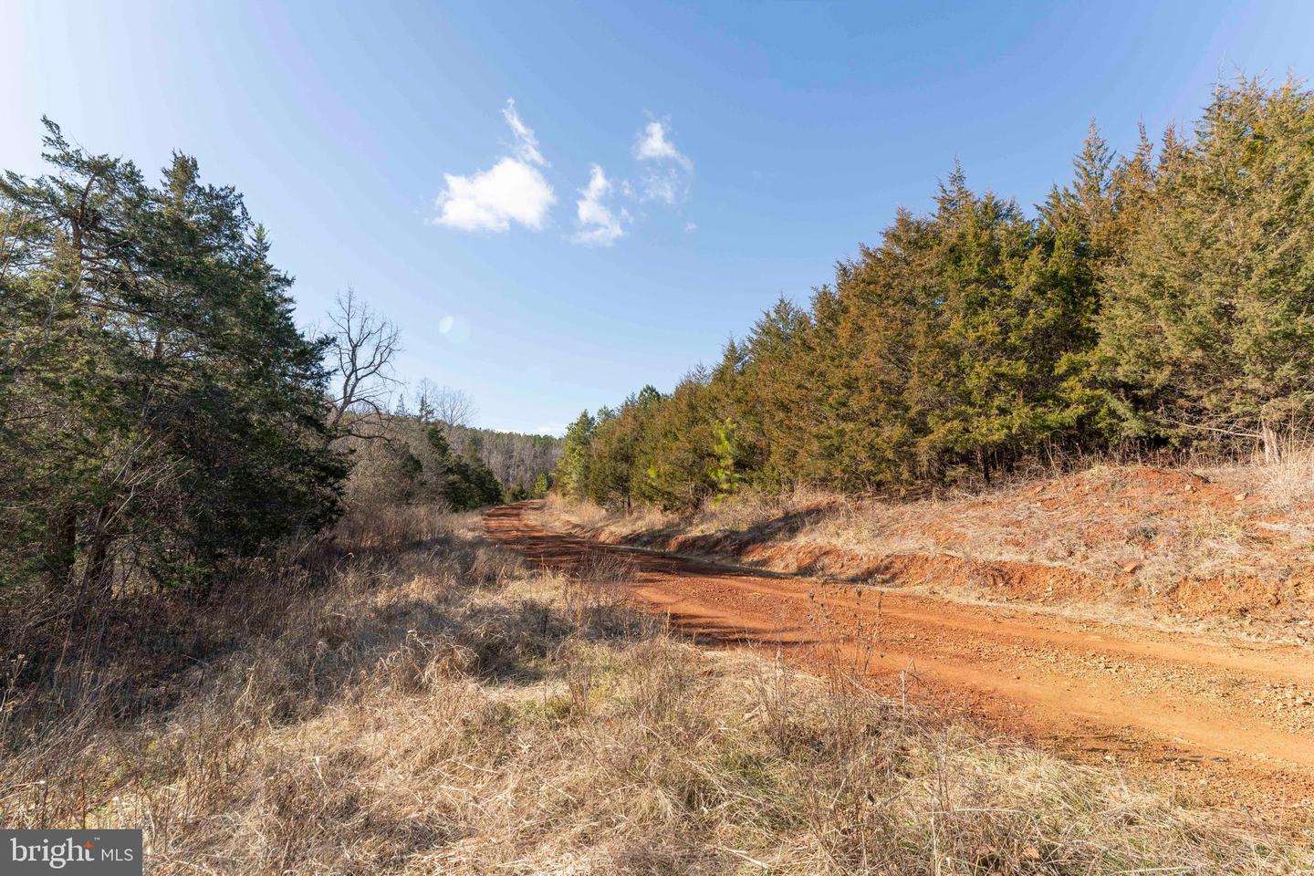 MT ALTO RD, ESMONT, Virginia 22937, ,Land,For sale,MT ALTO RD,VAAB2001132 MLS # VAAB2001132