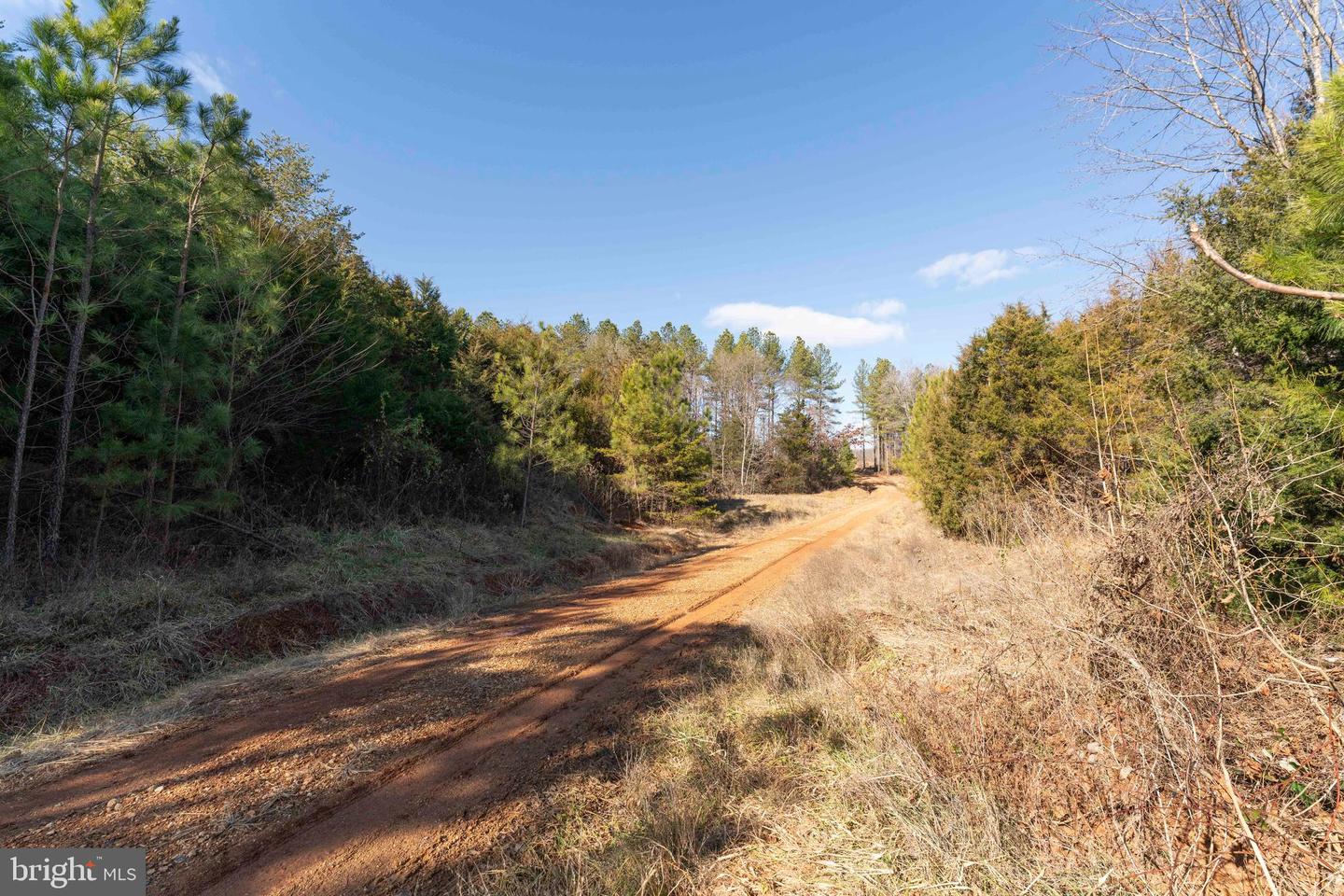 MT ALTO RD, ESMONT, Virginia 22937, ,Land,For sale,MT ALTO RD,VAAB2001132 MLS # VAAB2001132