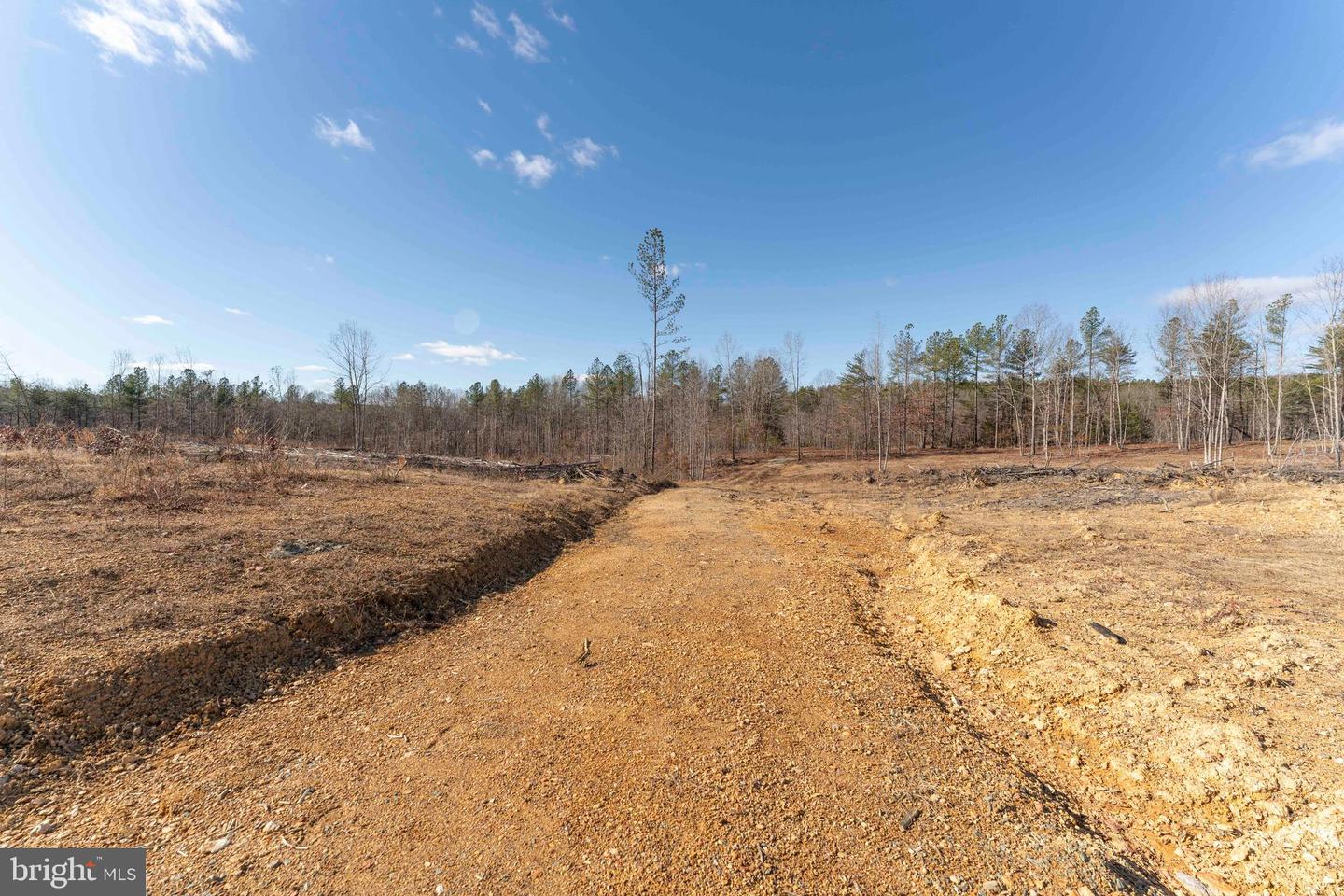 MT ALTO RD, ESMONT, Virginia 22937, ,Land,For sale,MT ALTO RD,VAAB2001132 MLS # VAAB2001132