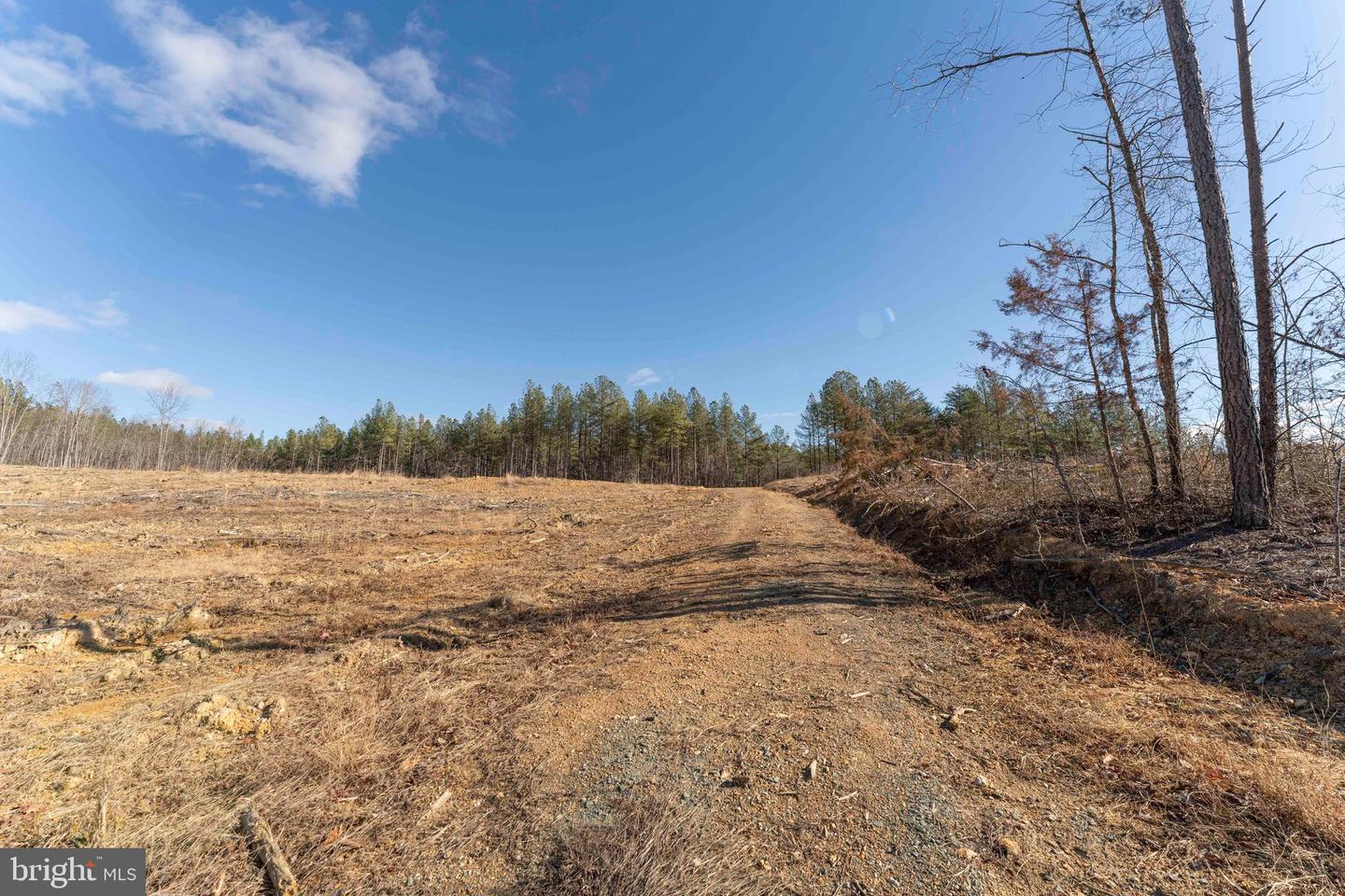 MT ALTO RD, ESMONT, Virginia 22937, ,Land,For sale,MT ALTO RD,VAAB2001132 MLS # VAAB2001132