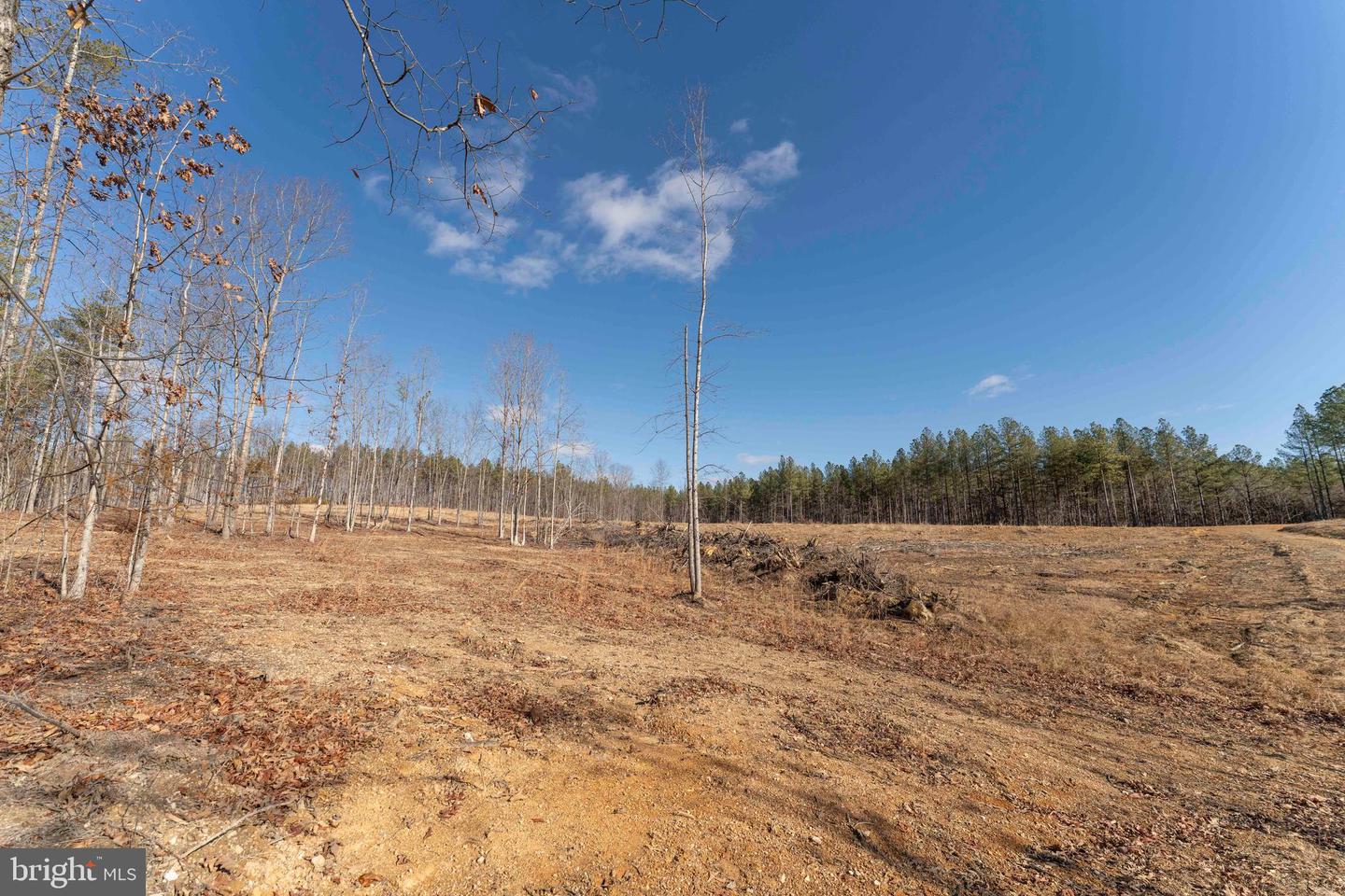 MT ALTO RD, ESMONT, Virginia 22937, ,Land,For sale,MT ALTO RD,VAAB2001132 MLS # VAAB2001132