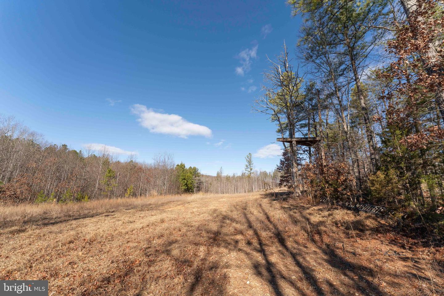 MT ALTO RD, ESMONT, Virginia 22937, ,Land,For sale,MT ALTO RD,VAAB2001132 MLS # VAAB2001132