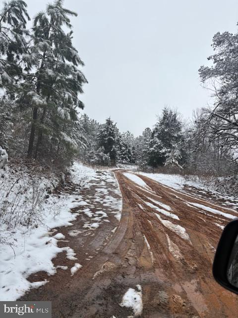 MT ALTO RD, ESMONT, Virginia 22937, ,Land,For sale,MT ALTO RD,VAAB2001132 MLS # VAAB2001132