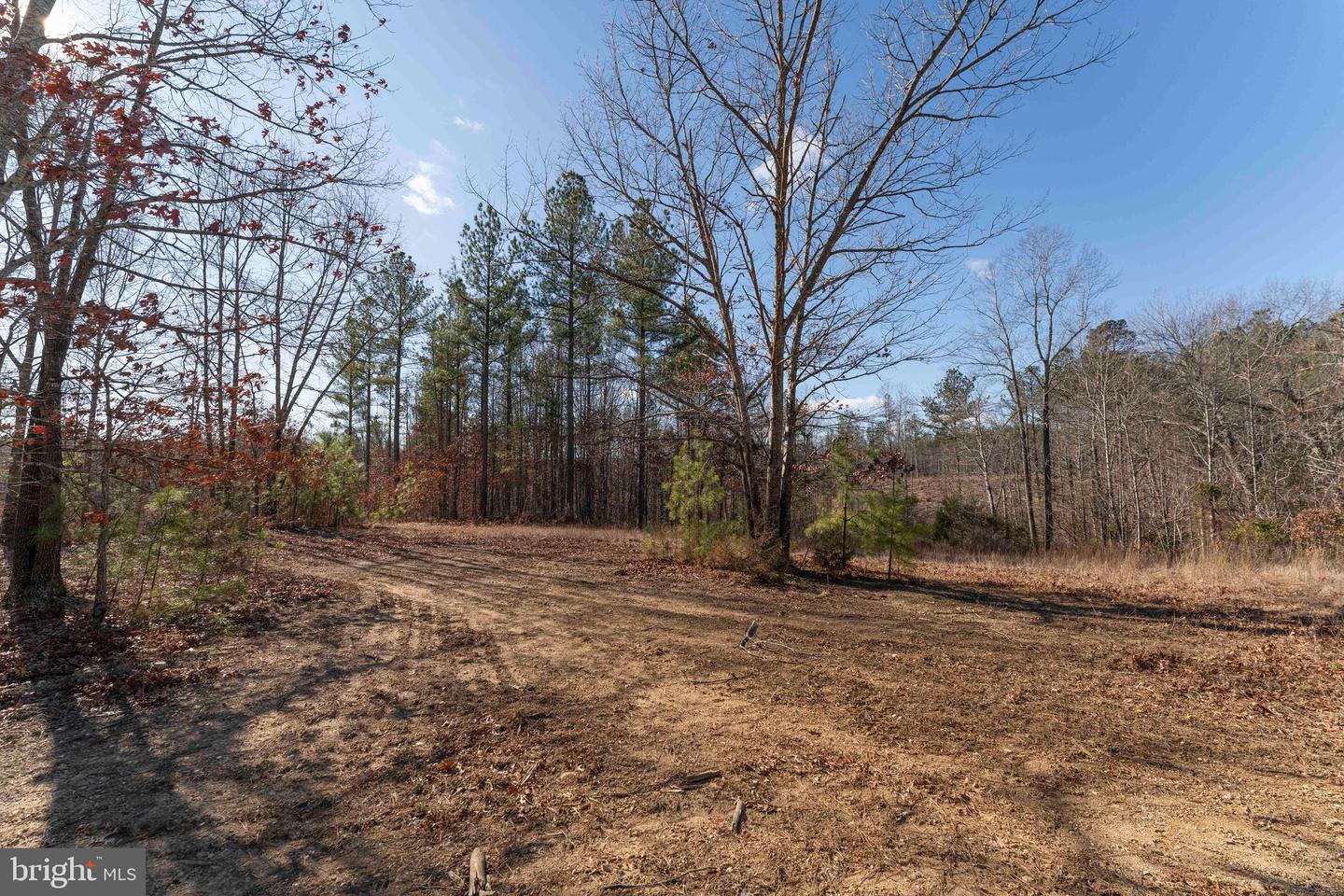 MT ALTO RD, ESMONT, Virginia 22937, ,Land,For sale,MT ALTO RD,VAAB2001132 MLS # VAAB2001132