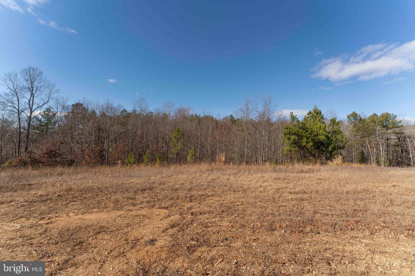 MT ALTO RD, ESMONT, Virginia 22937, ,Land,For sale,MT ALTO RD,VAAB2001132 MLS # VAAB2001132