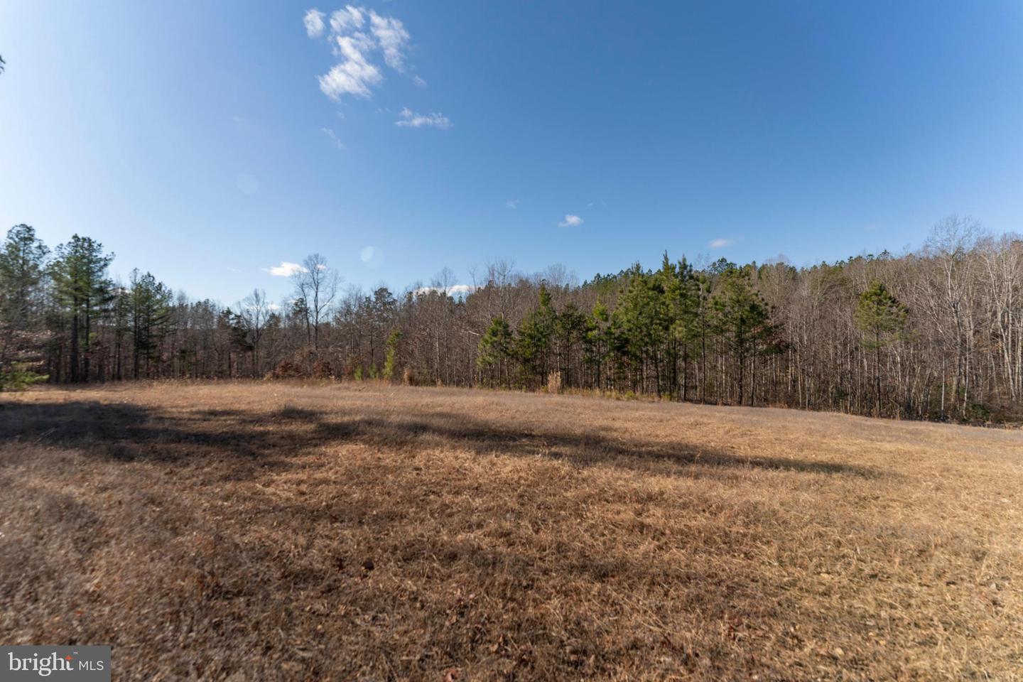 MT ALTO RD, ESMONT, Virginia 22937, ,Land,For sale,MT ALTO RD,VAAB2001132 MLS # VAAB2001132