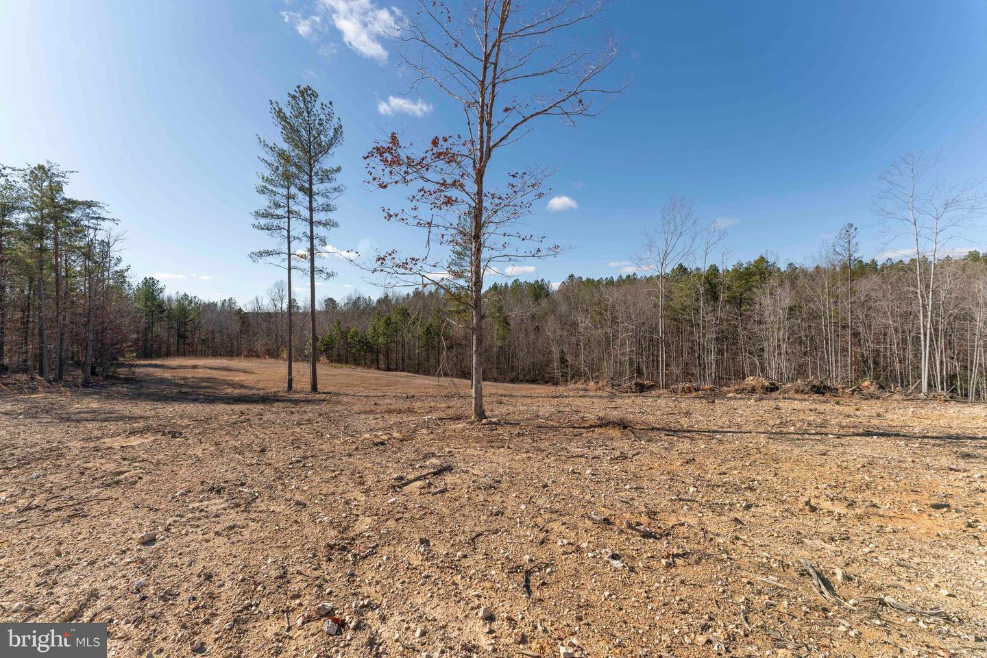 MT ALTO RD, ESMONT, Virginia 22937, ,Land,For sale,MT ALTO RD,VAAB2001132 MLS # VAAB2001132