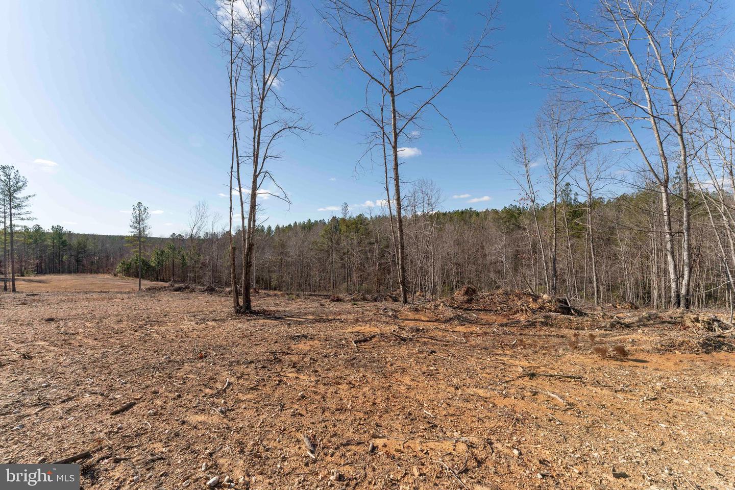 MT ALTO RD, ESMONT, Virginia 22937, ,Land,For sale,MT ALTO RD,VAAB2001132 MLS # VAAB2001132