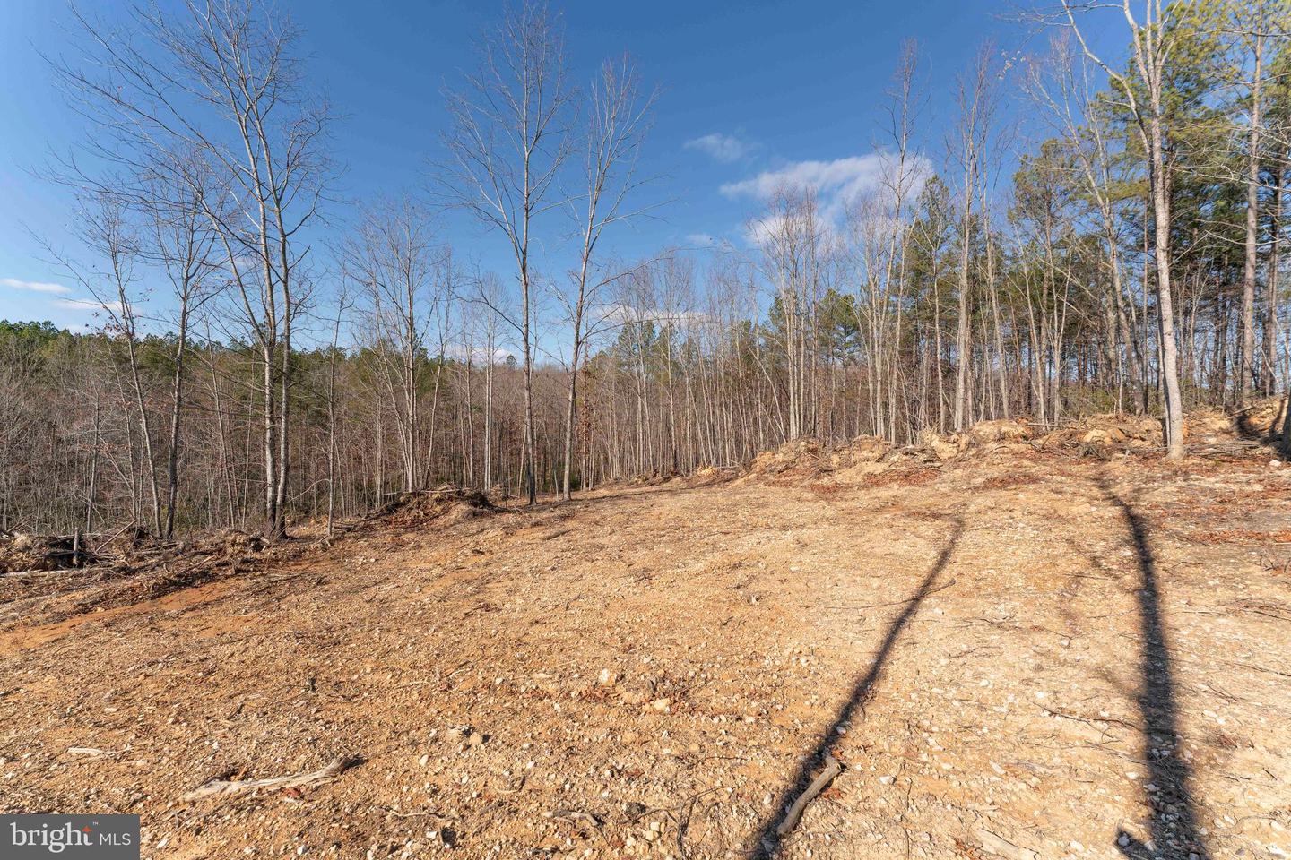 MT ALTO RD, ESMONT, Virginia 22937, ,Land,For sale,MT ALTO RD,VAAB2001132 MLS # VAAB2001132