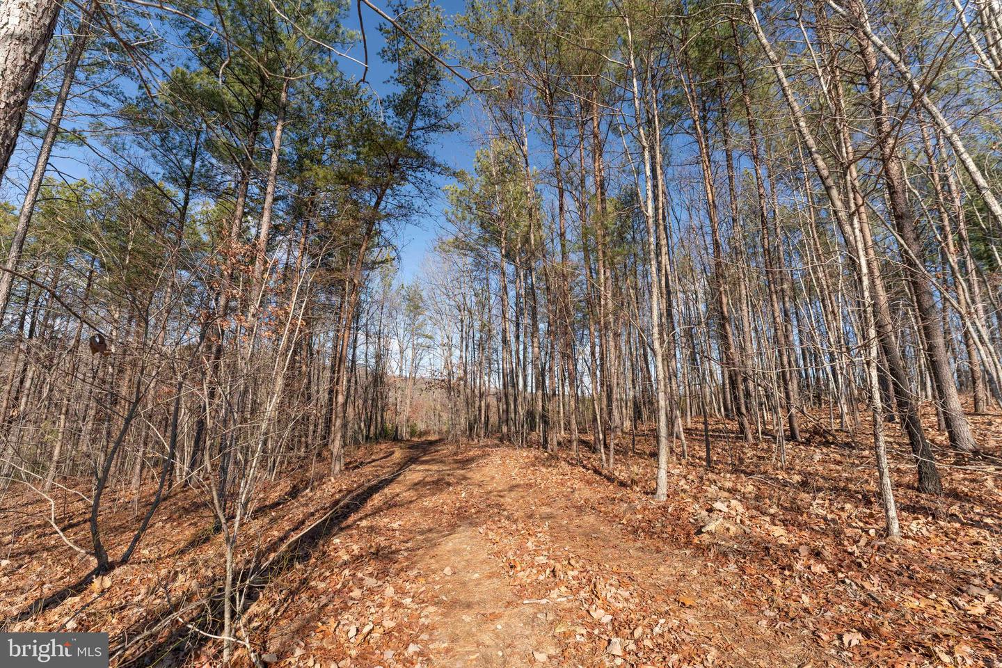 MT ALTO RD, ESMONT, Virginia 22937, ,Land,For sale,MT ALTO RD,VAAB2001132 MLS # VAAB2001132