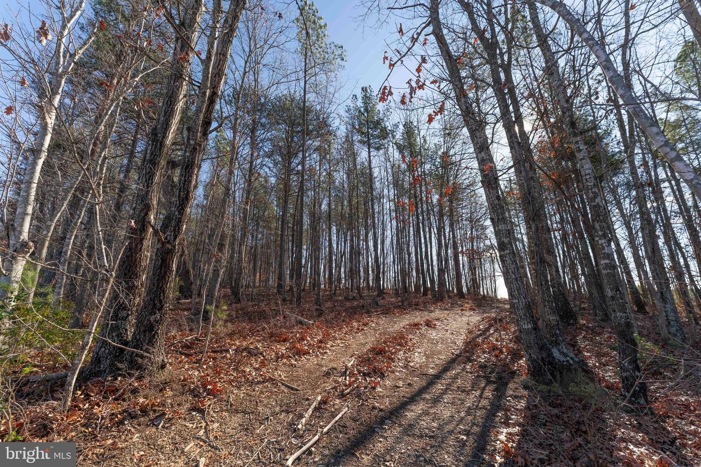 MT ALTO RD, ESMONT, Virginia 22937, ,Land,For sale,MT ALTO RD,VAAB2001132 MLS # VAAB2001132