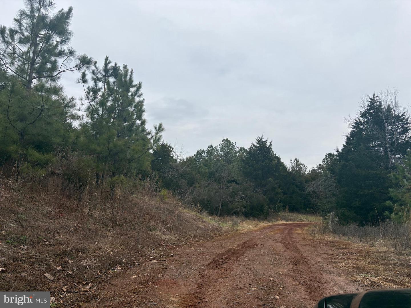 MT ALTO RD, ESMONT, Virginia 22937, ,Land,For sale,MT ALTO RD,VAAB2001132 MLS # VAAB2001132