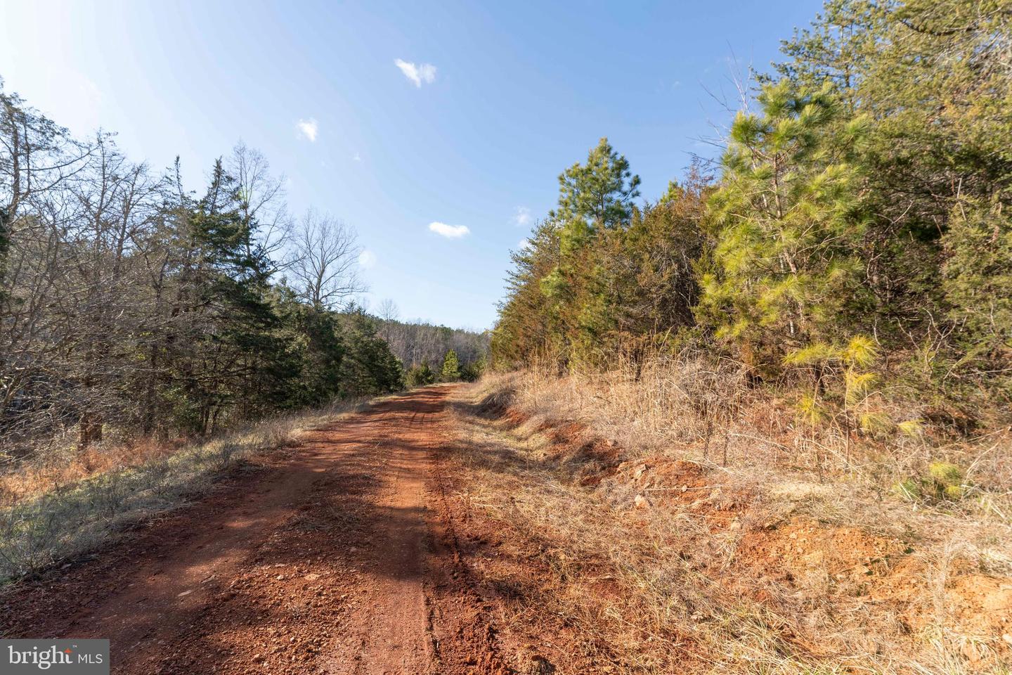 MT ALTO RD, ESMONT, Virginia 22937, ,Land,For sale,MT ALTO RD,VAAB2001132 MLS # VAAB2001132