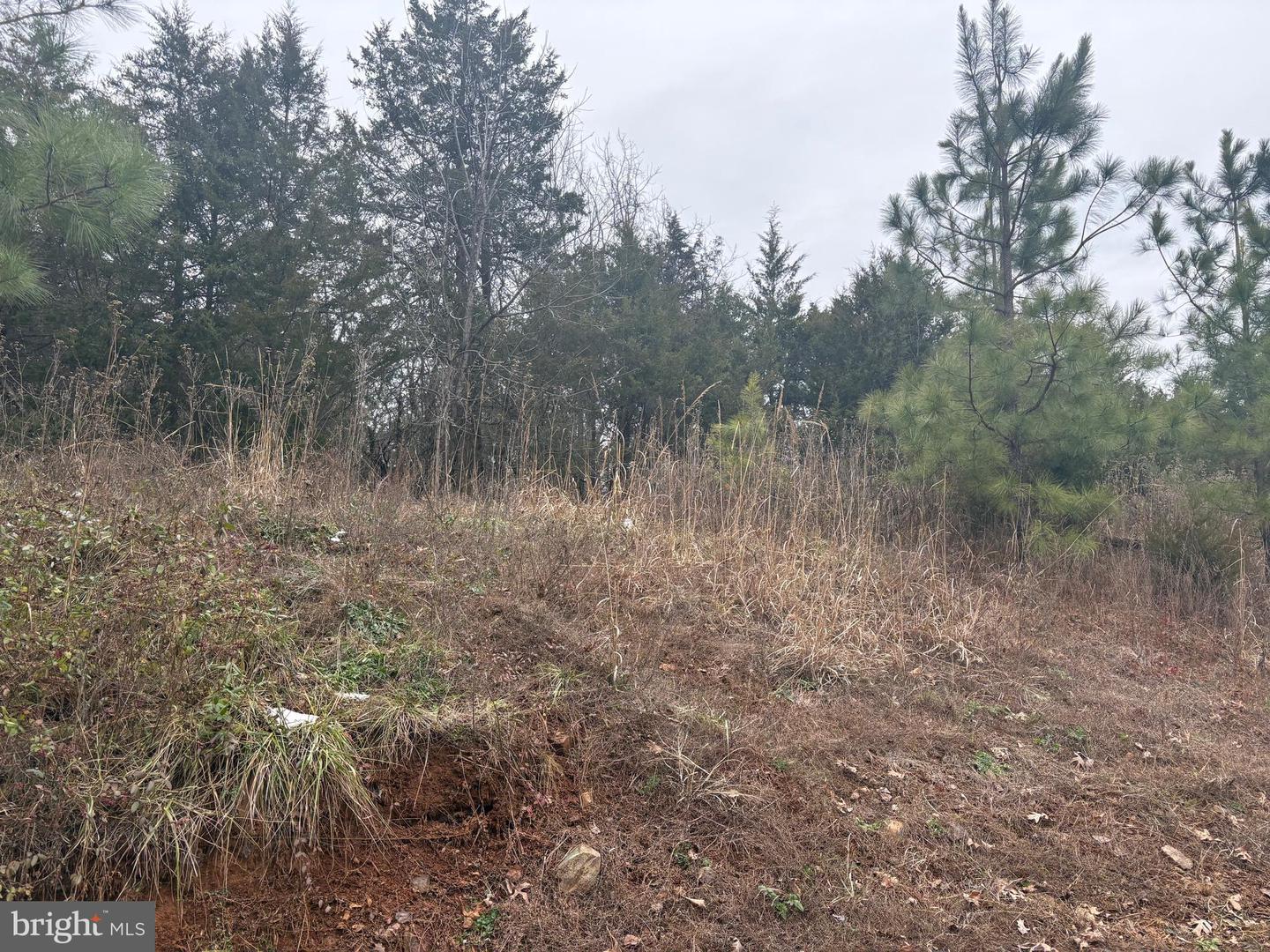 MT ALTO RD, ESMONT, Virginia 22937, ,Land,For sale,MT ALTO RD,VAAB2001132 MLS # VAAB2001132