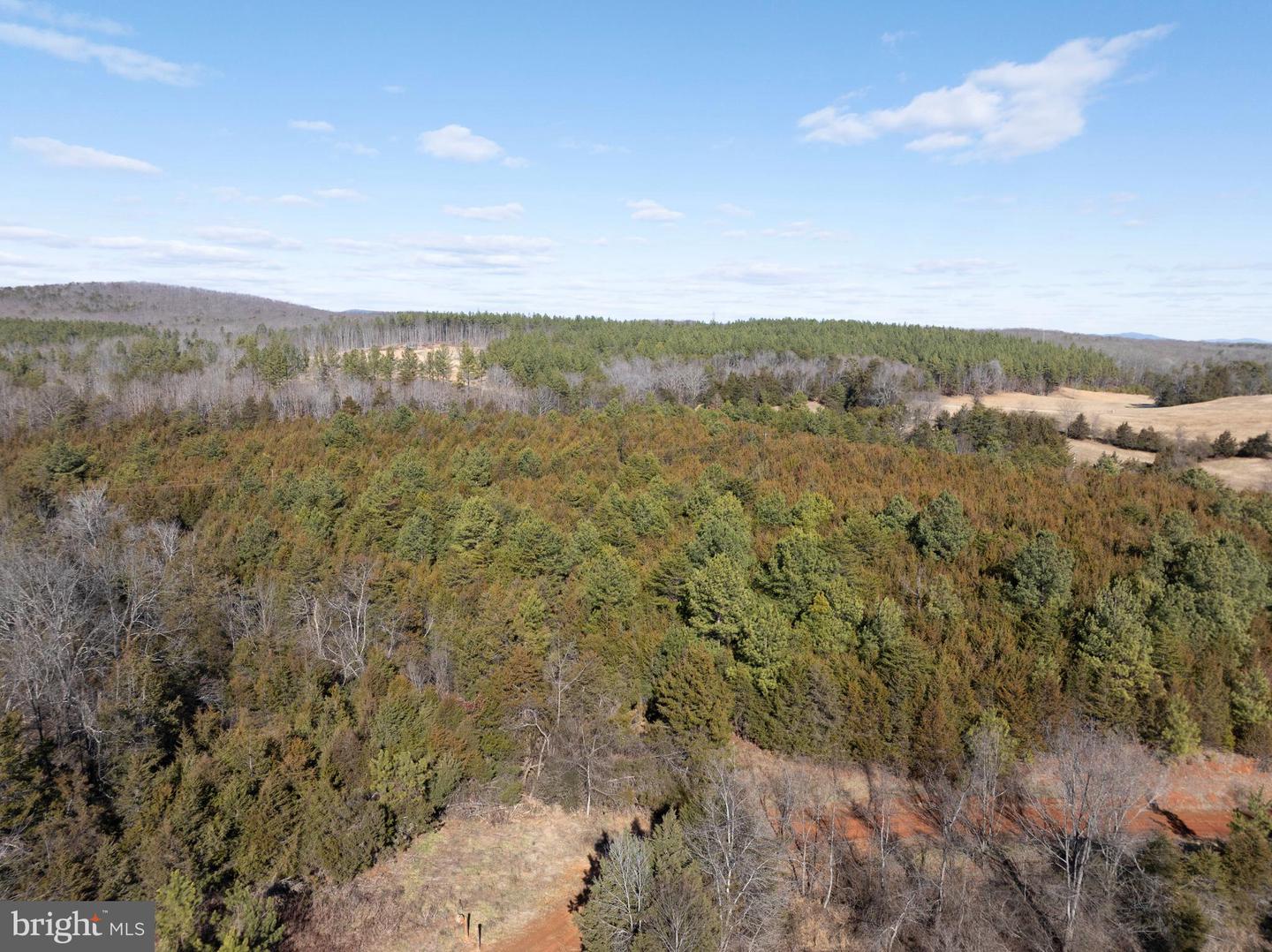 MT ALTO RD, ESMONT, Virginia 22937, ,Land,For sale,MT ALTO RD,VAAB2001132 MLS # VAAB2001132