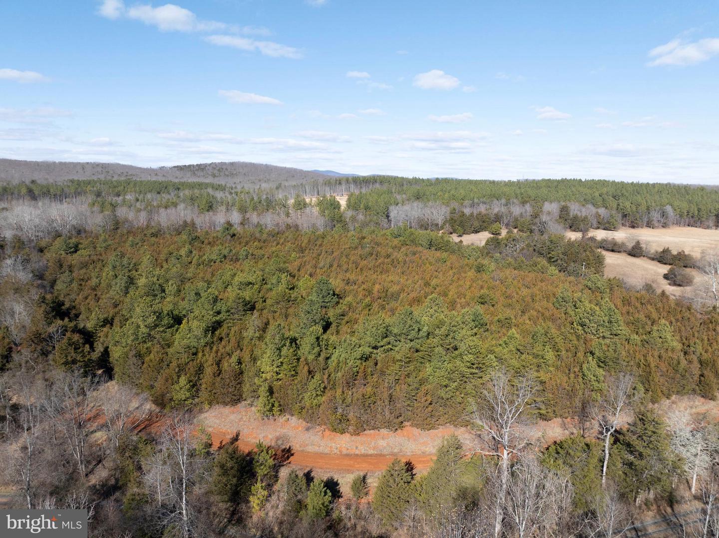 MT ALTO RD, ESMONT, Virginia 22937, ,Land,For sale,MT ALTO RD,VAAB2001132 MLS # VAAB2001132