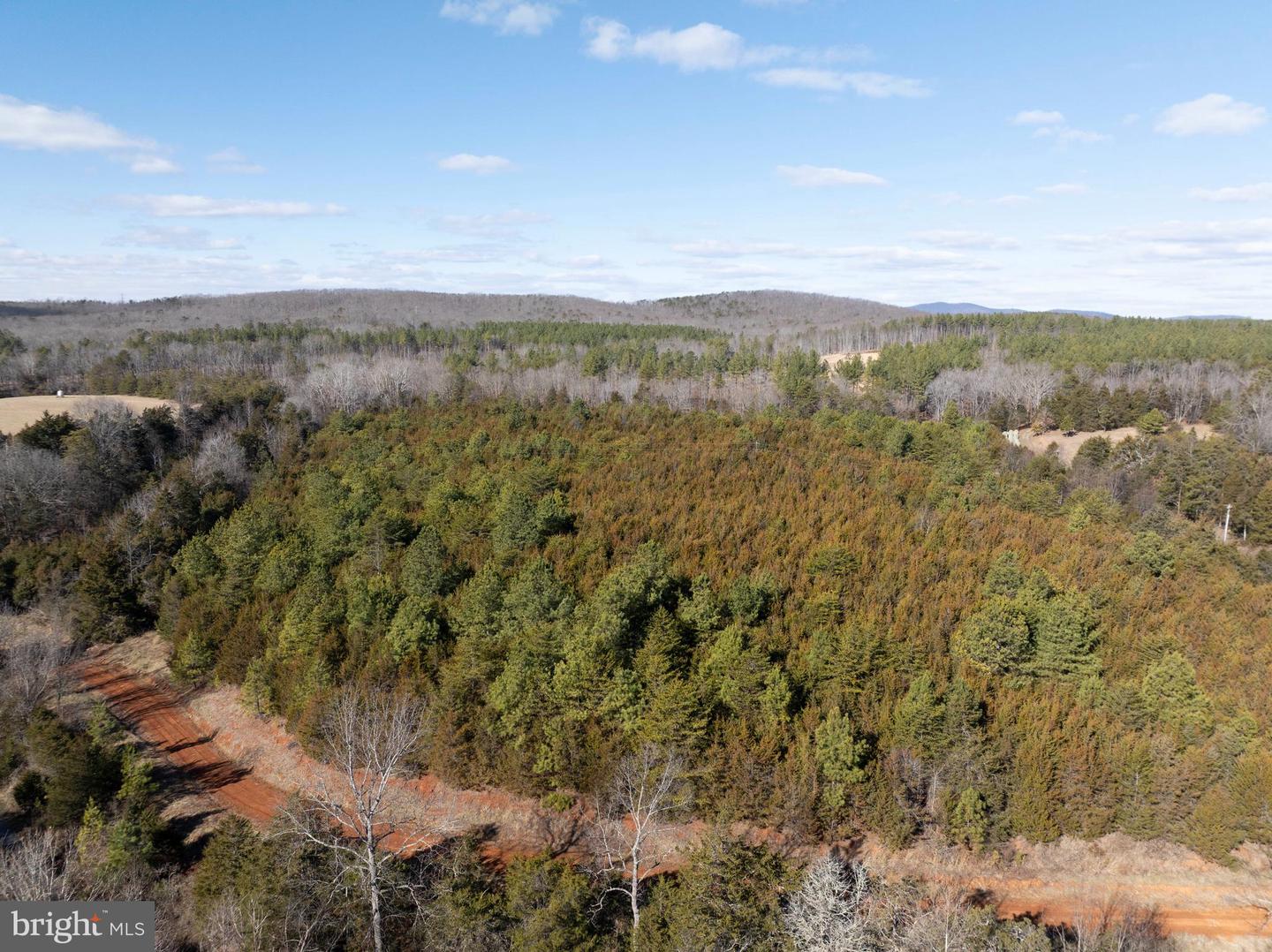 MT ALTO RD, ESMONT, Virginia 22937, ,Land,For sale,MT ALTO RD,VAAB2001132 MLS # VAAB2001132