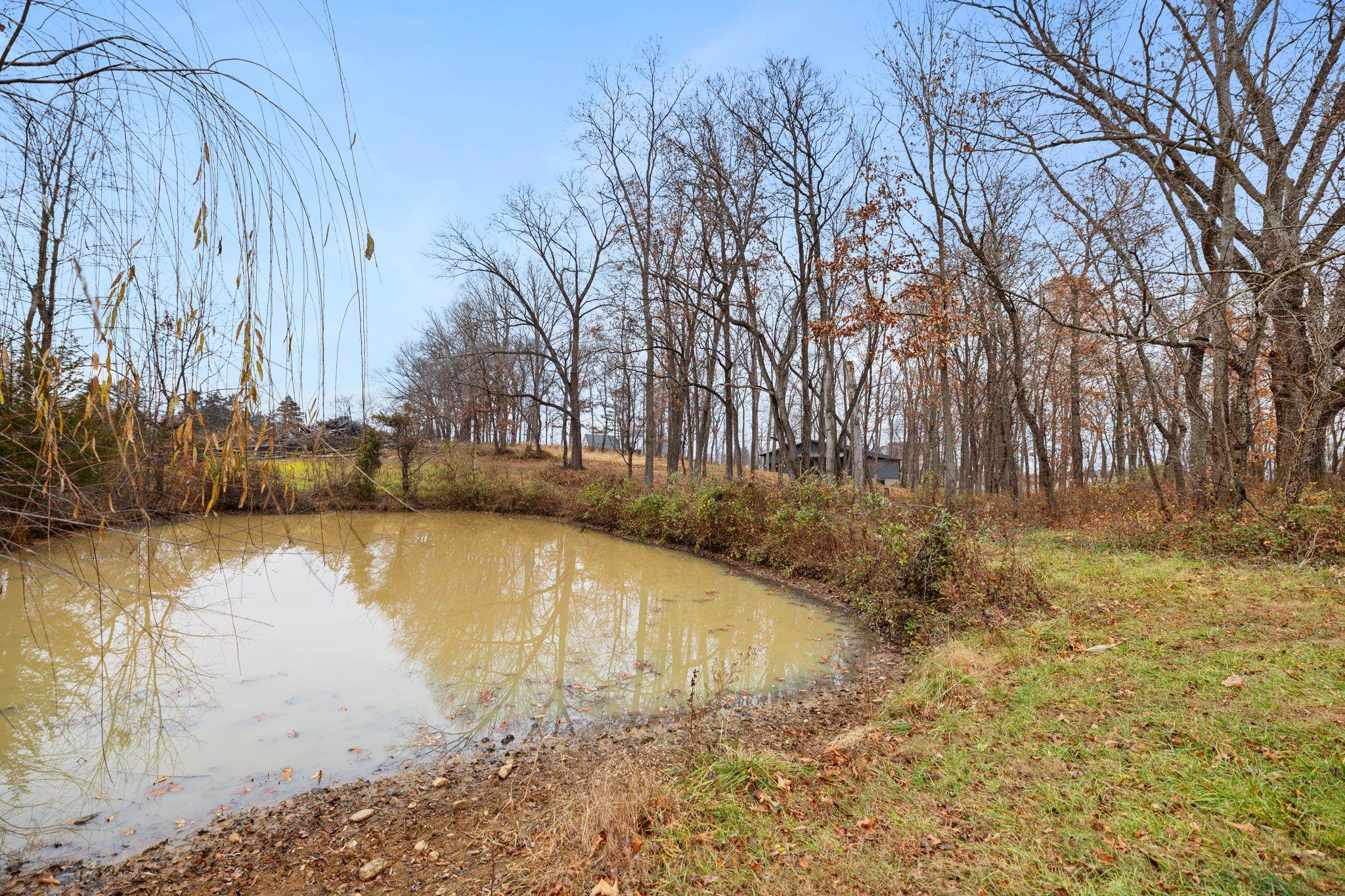 126 CHICKADEE CT, WOODSTOCK, Virginia 22664, 2 Bedrooms Bedrooms, ,2 BathroomsBathrooms,Residential,Walton Woods Subdivision,126 CHICKADEE CT,671897 MLS # 671897 126 CHICKADEE CT, WOODSTOCK, Virginia 22664, 2 Bedrooms Bedrooms, ,2 BathroomsBathrooms,Residential,Walton Woods Subdivision,126 CHICKADEE CT,671897 MLS # 671897