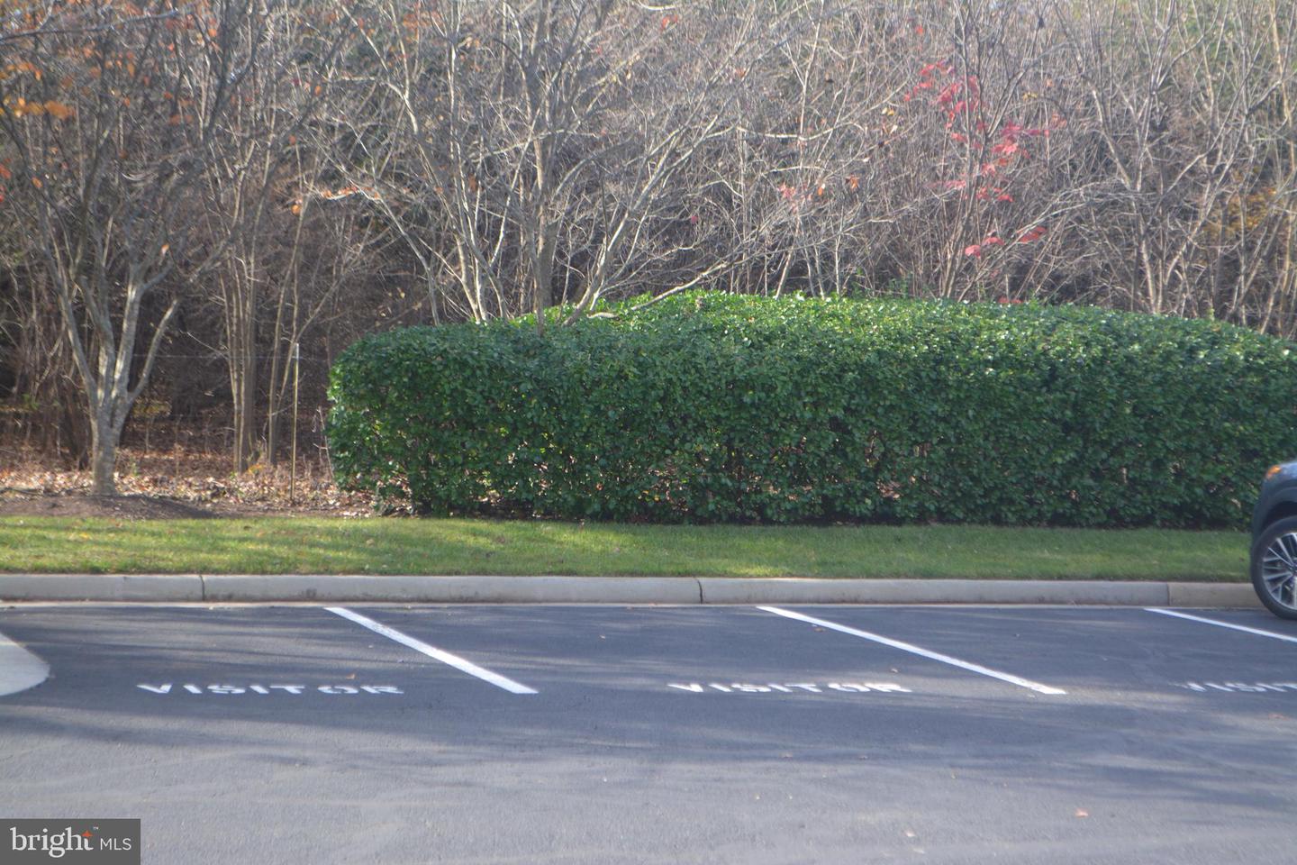 505 SUNSET VIEW TER SE #104, LEESBURG, Virginia 20175, 1 Bedroom Bedrooms, ,1 BathroomBathrooms,Residential,For sale,505 SUNSET VIEW TER SE #104,VALO2108120 MLS # VALO2108120 505 SUNSET VIEW TER SE #104, LEESBURG, Virginia 20175, 1 Bedroom Bedrooms, ,1 BathroomBathrooms,Residential,For sale,505 SUNSET VIEW TER SE #104,VALO2108120 MLS # VALO2108120