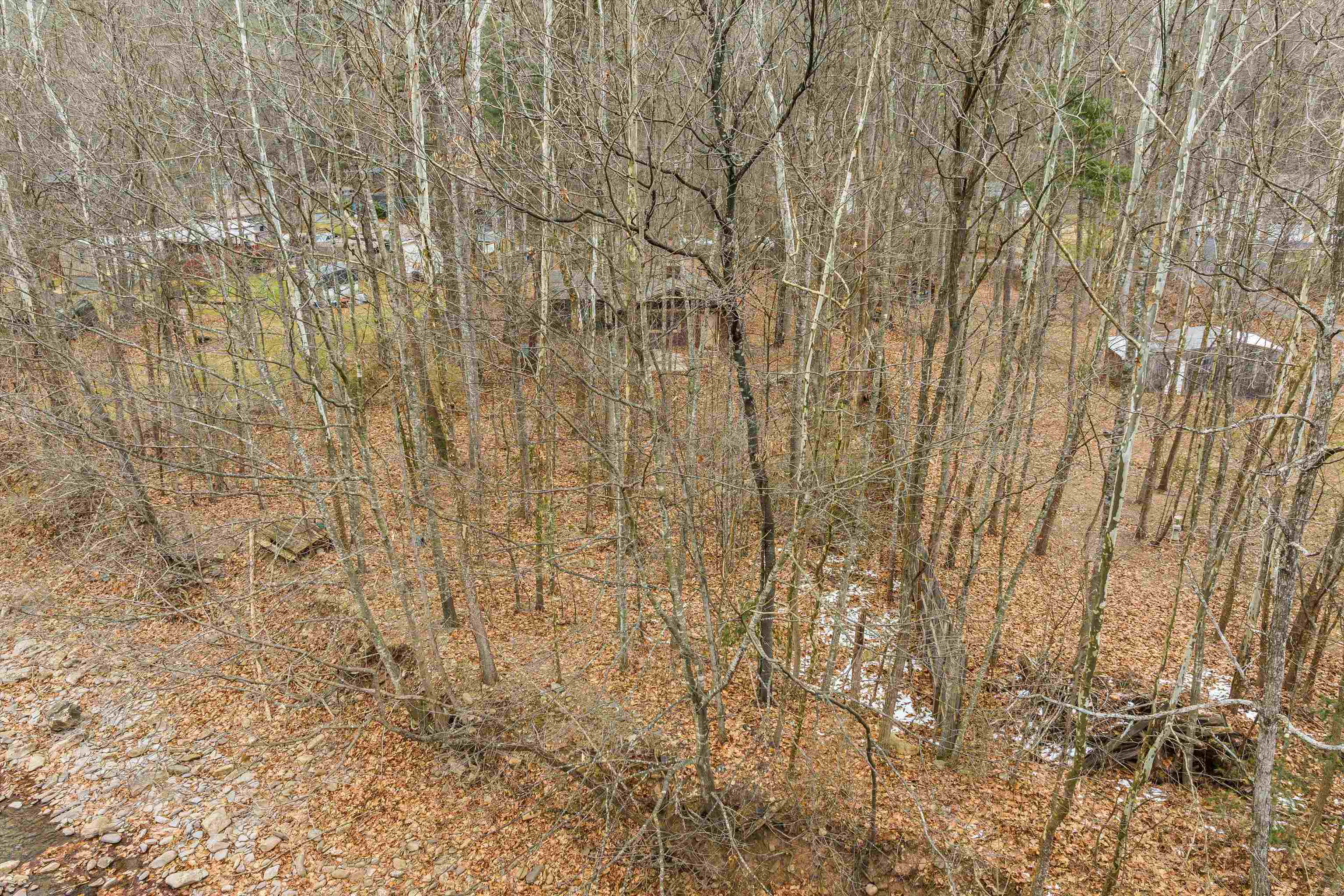 162 LOEWNER LN, HINTON, Virginia 22831, 2 Bedrooms Bedrooms, ,1 BathroomBathrooms,Residential,162 LOEWNER LN,671909 MLS # 671909 162 LOEWNER LN, HINTON, Virginia 22831, 2 Bedrooms Bedrooms, ,1 BathroomBathrooms,Residential,162 LOEWNER LN,671909 MLS # 671909