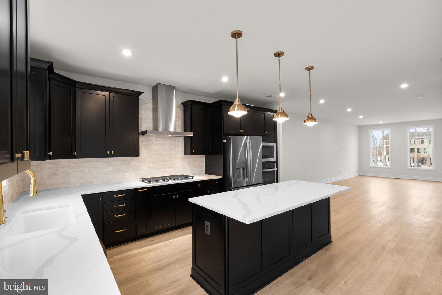 23021 BLUE EAGLE TER, ASHBURN, Virginia 20148, 4 Bedrooms Bedrooms, ,4 BathroomsBathrooms,Residential,For sale,23021 BLUE EAGLE TER,VALO2112474 MLS # VALO2112474