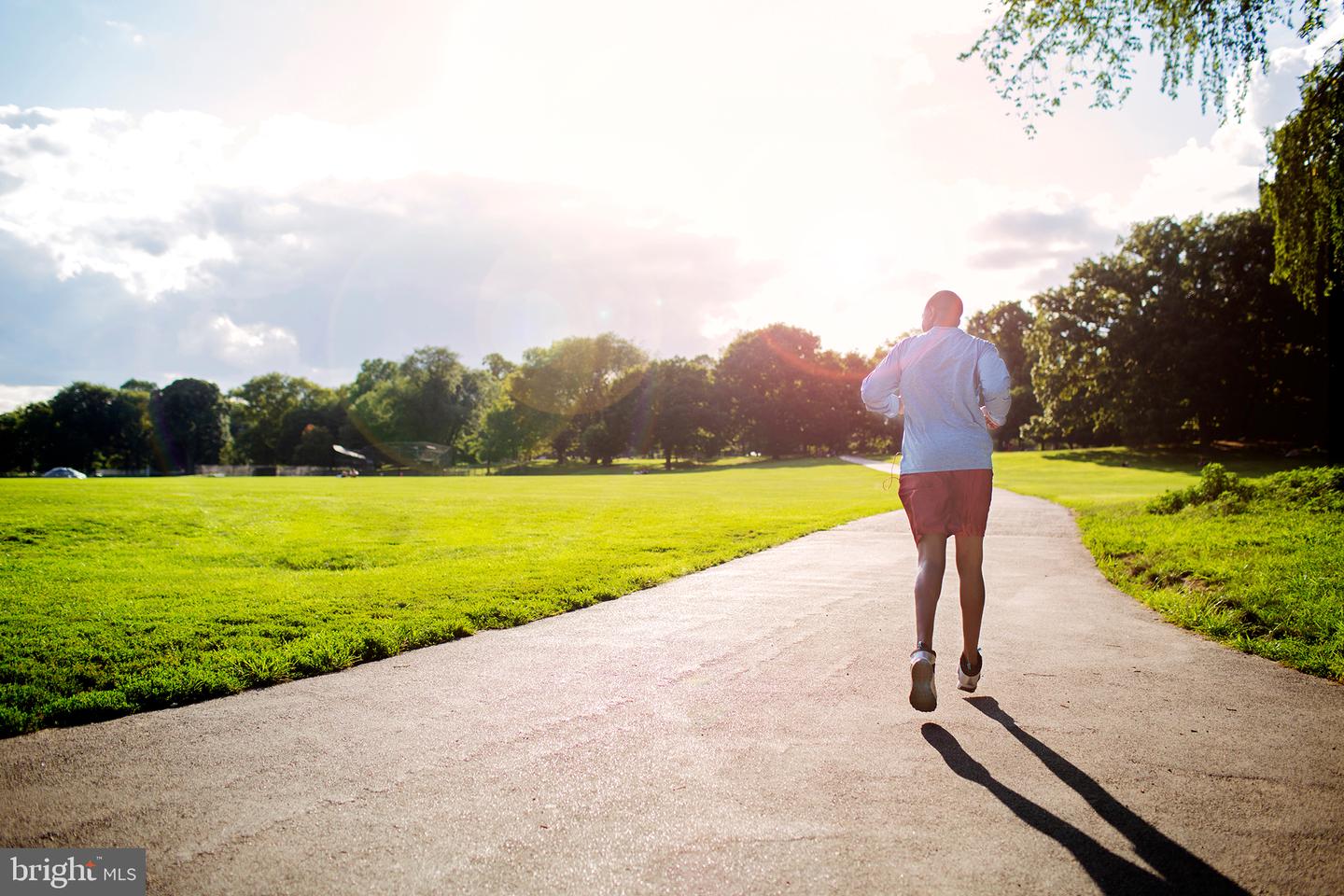 AMBROSE TREE PL #SASHA 31-F2, ALDIE, Virginia 20105, 4 Bedrooms Bedrooms, ,4 BathroomsBathrooms,Residential,For sale,AMBROSE TREE PL #SASHA 31-F2,VALO2112504 MLS # VALO2112504 AMBROSE TREE PL #SASHA 31-F2, ALDIE, Virginia 20105, 4 Bedrooms Bedrooms, ,4 BathroomsBathrooms,Residential,For sale,AMBROSE TREE PL #SASHA 31-F2,VALO2112504 MLS # VALO2112504