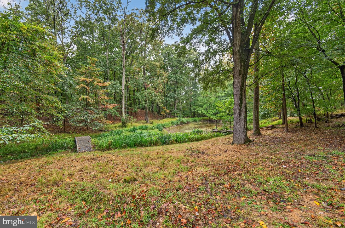 11600 BLUE RIDGE LN, GREAT FALLS, Virginia 22066, 4 Bedrooms Bedrooms, ,4 BathroomsBathrooms,Residential,For sale,11600 BLUE RIDGE LN,VAFX2282782 MLS # VAFX2282782