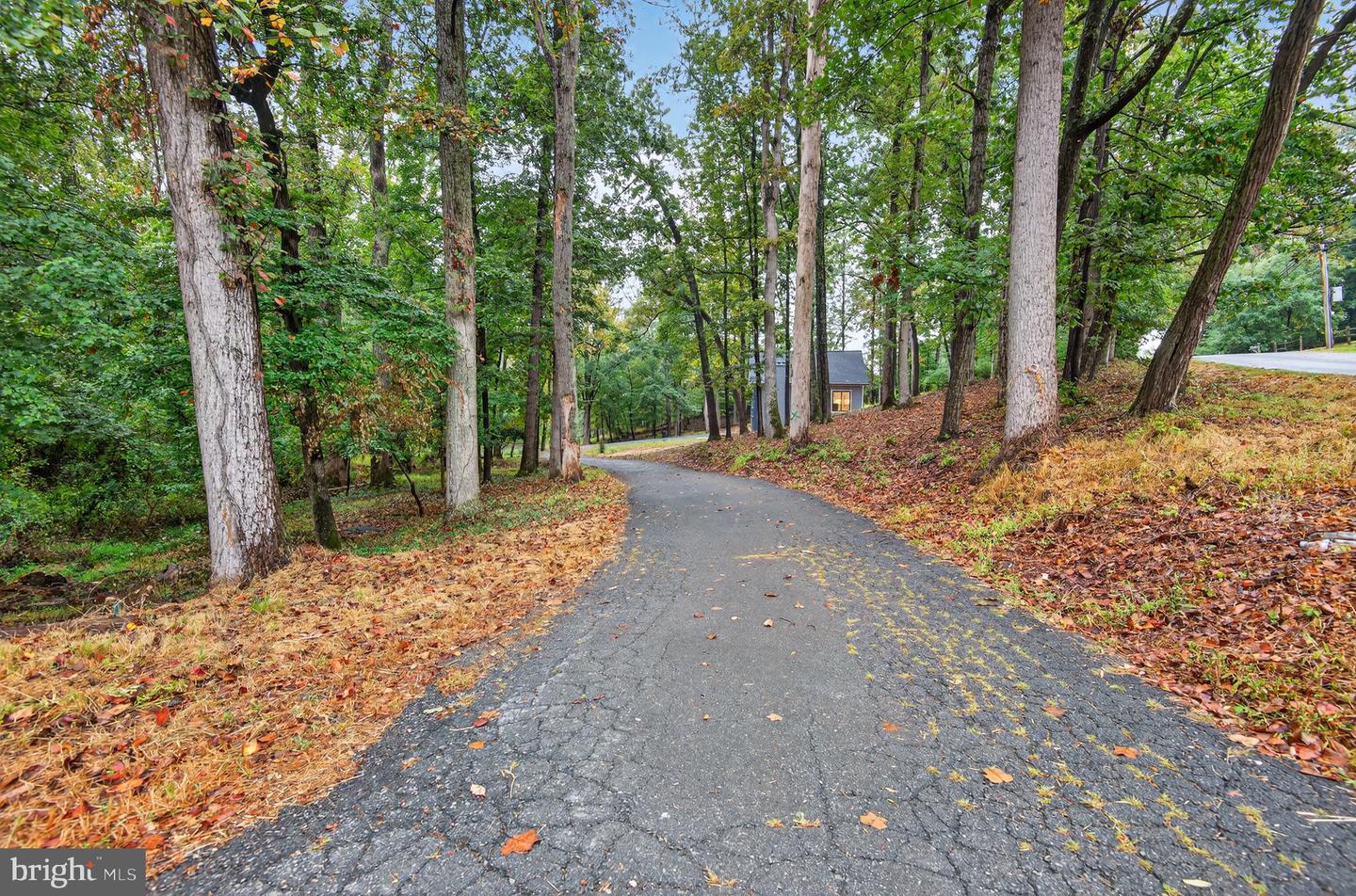 11600 BLUE RIDGE LN, GREAT FALLS, Virginia 22066, 4 Bedrooms Bedrooms, ,4 BathroomsBathrooms,Residential,For sale,11600 BLUE RIDGE LN,VAFX2282782 MLS # VAFX2282782