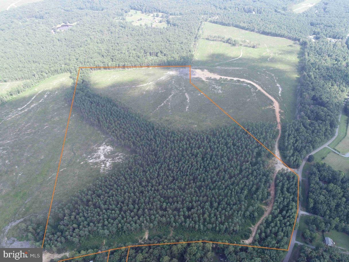 HOLLAND ROAD (TRACT: JR BEDFORD-BOWLES_SIMS-4), COLUMBIA, Virginia 23038, ,Farm,For sale,HOLLAND ROAD (TRACT: JR BEDFORD-BOWLES_SIMS-4),VAFN2000522 MLS # VAFN2000522